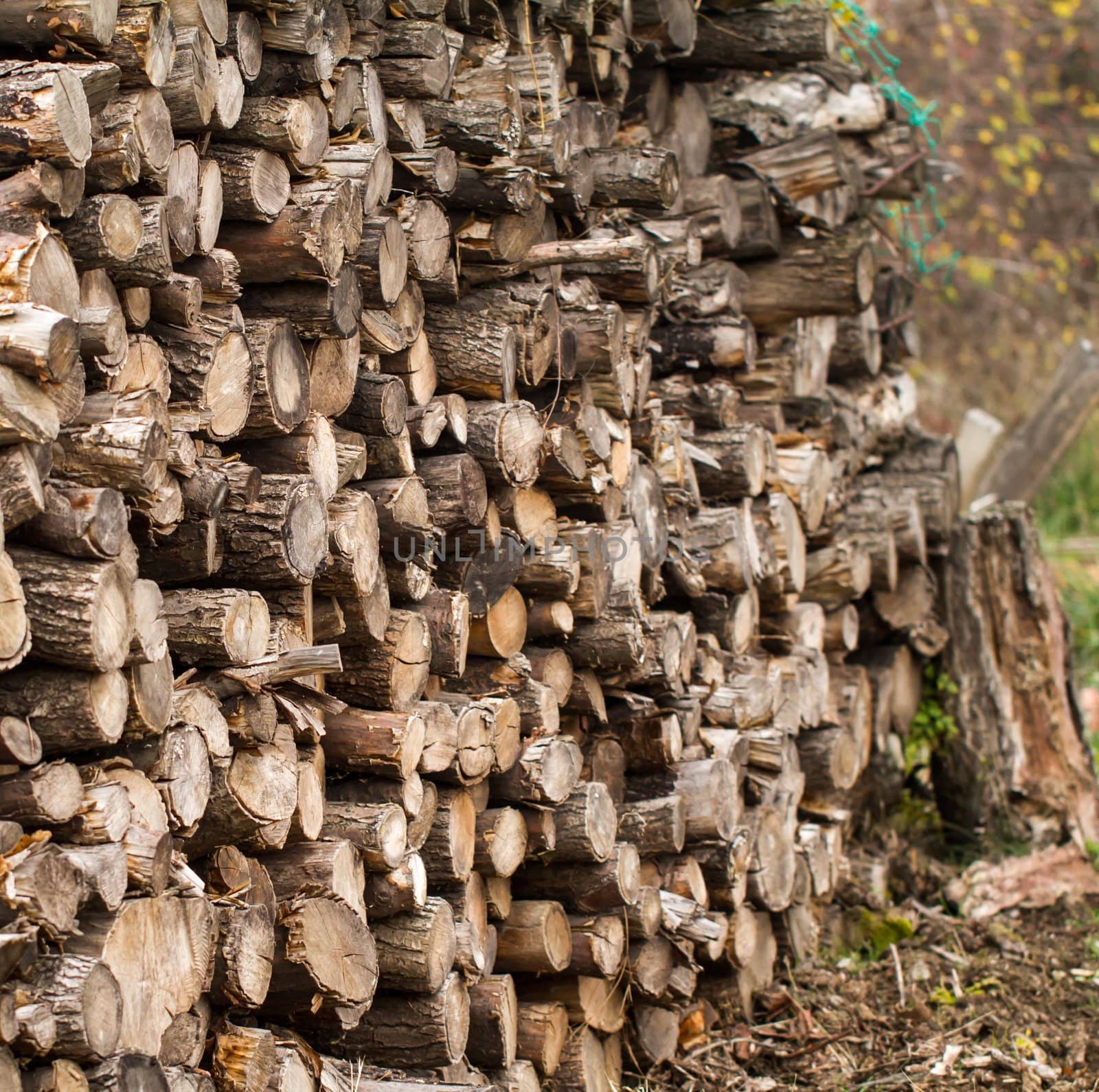 Winter firewood stacked in a pile
