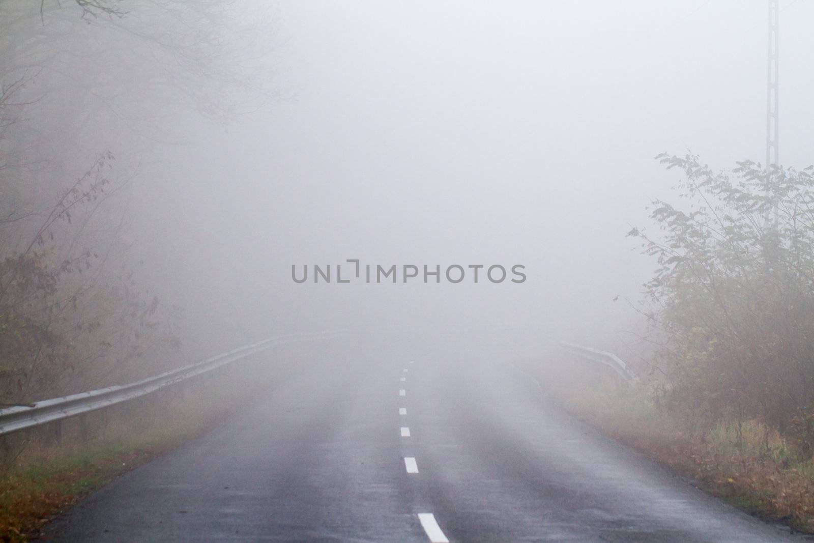 Asphalt road in an autumn fog by NagyDodo