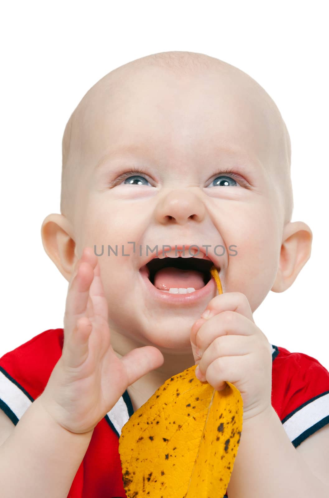 Portrait of infant boy with yellow autumn leaves in the studio on a white background