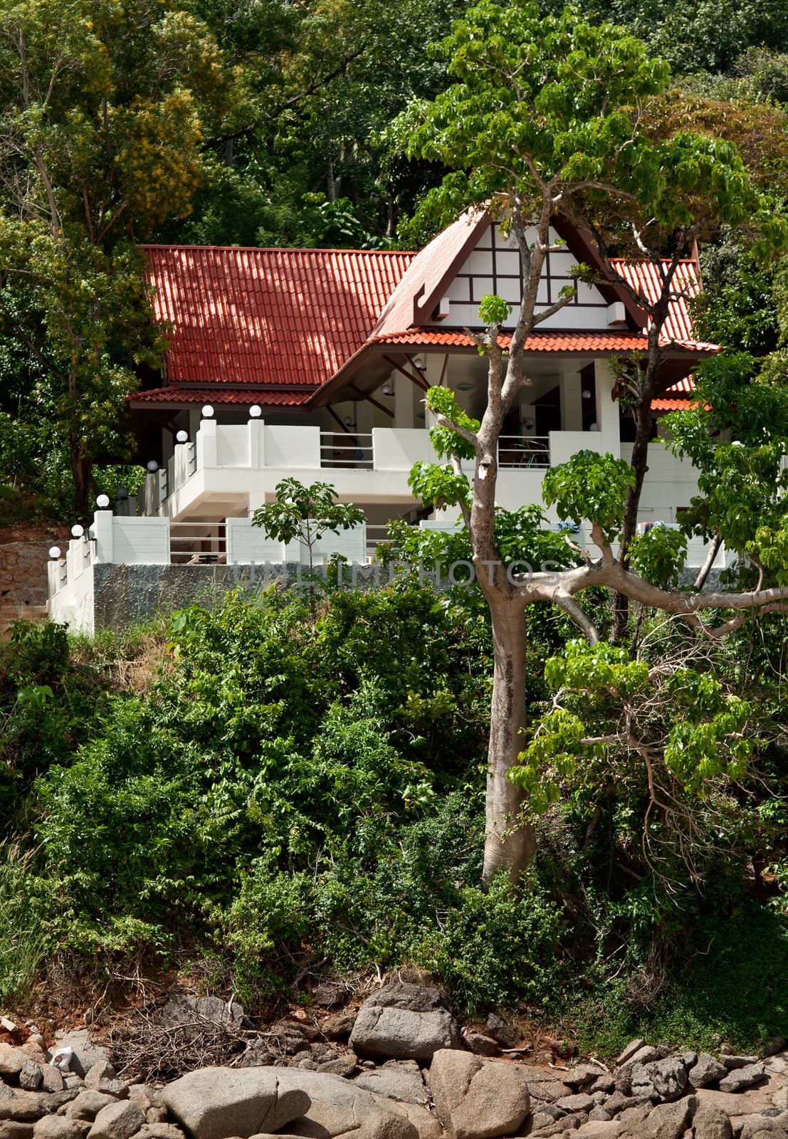 a lone house in the tropical jungles of Thailand
