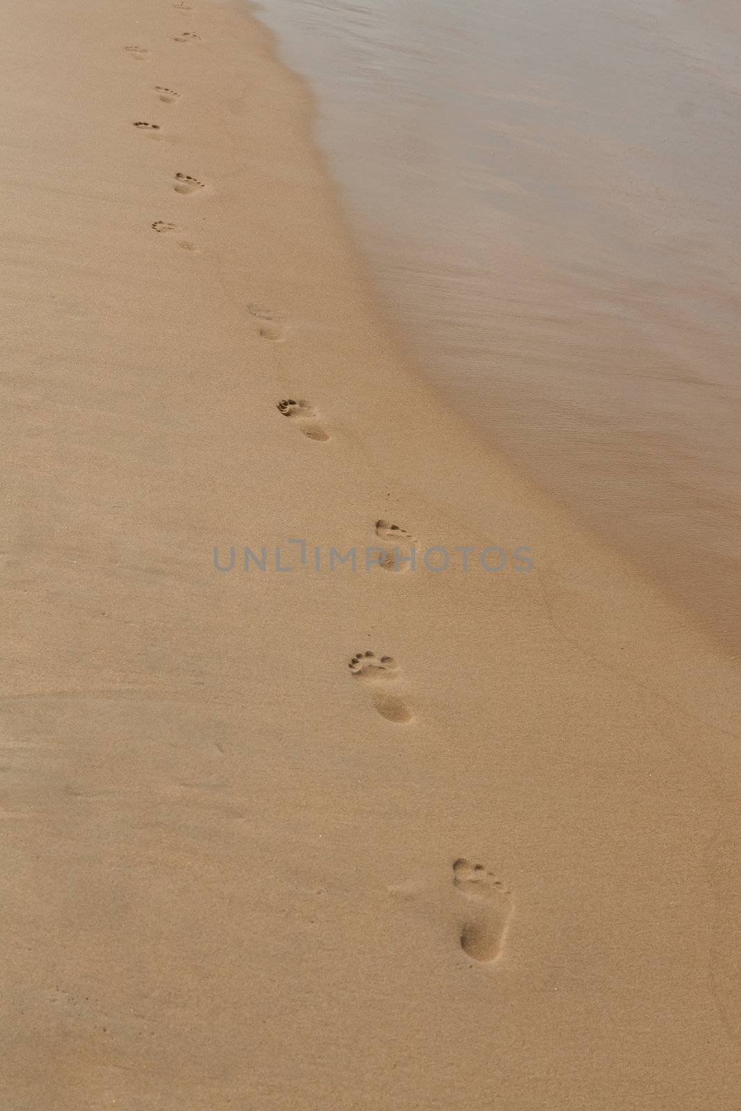 footprints in the sand on the beach stretching into the distance