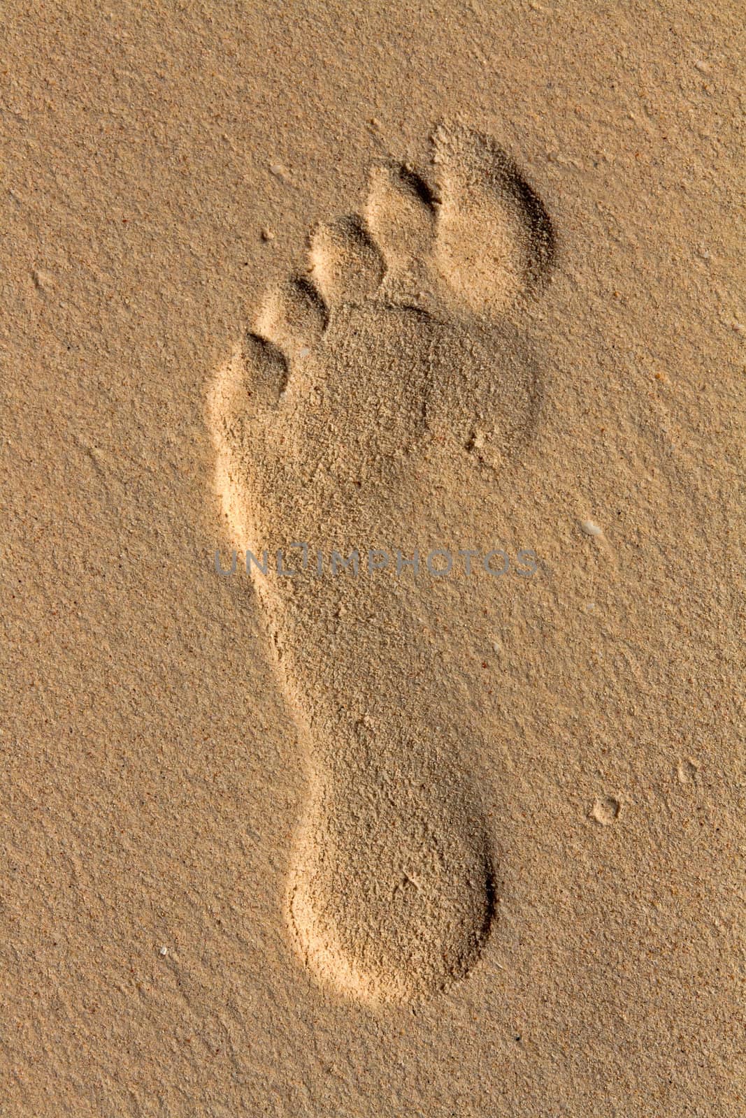 footprint on the sea-sand at sunset sunshine