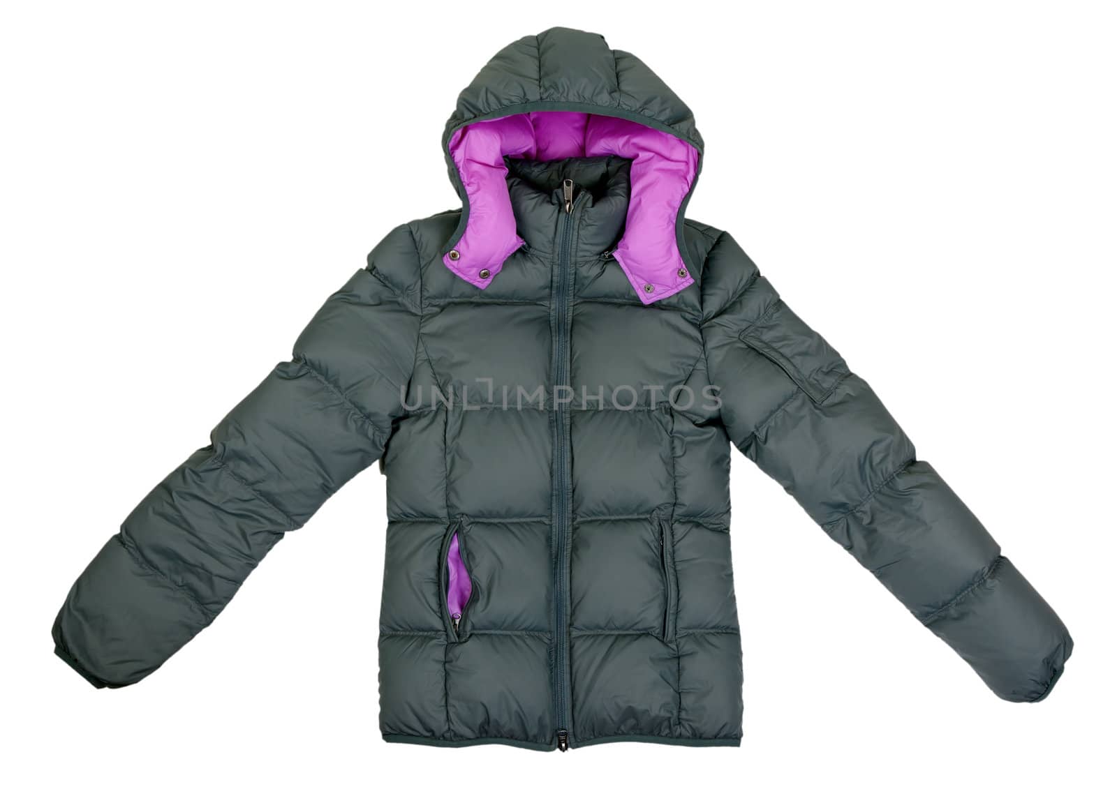 Female gray winter jacket with a hood on a white background