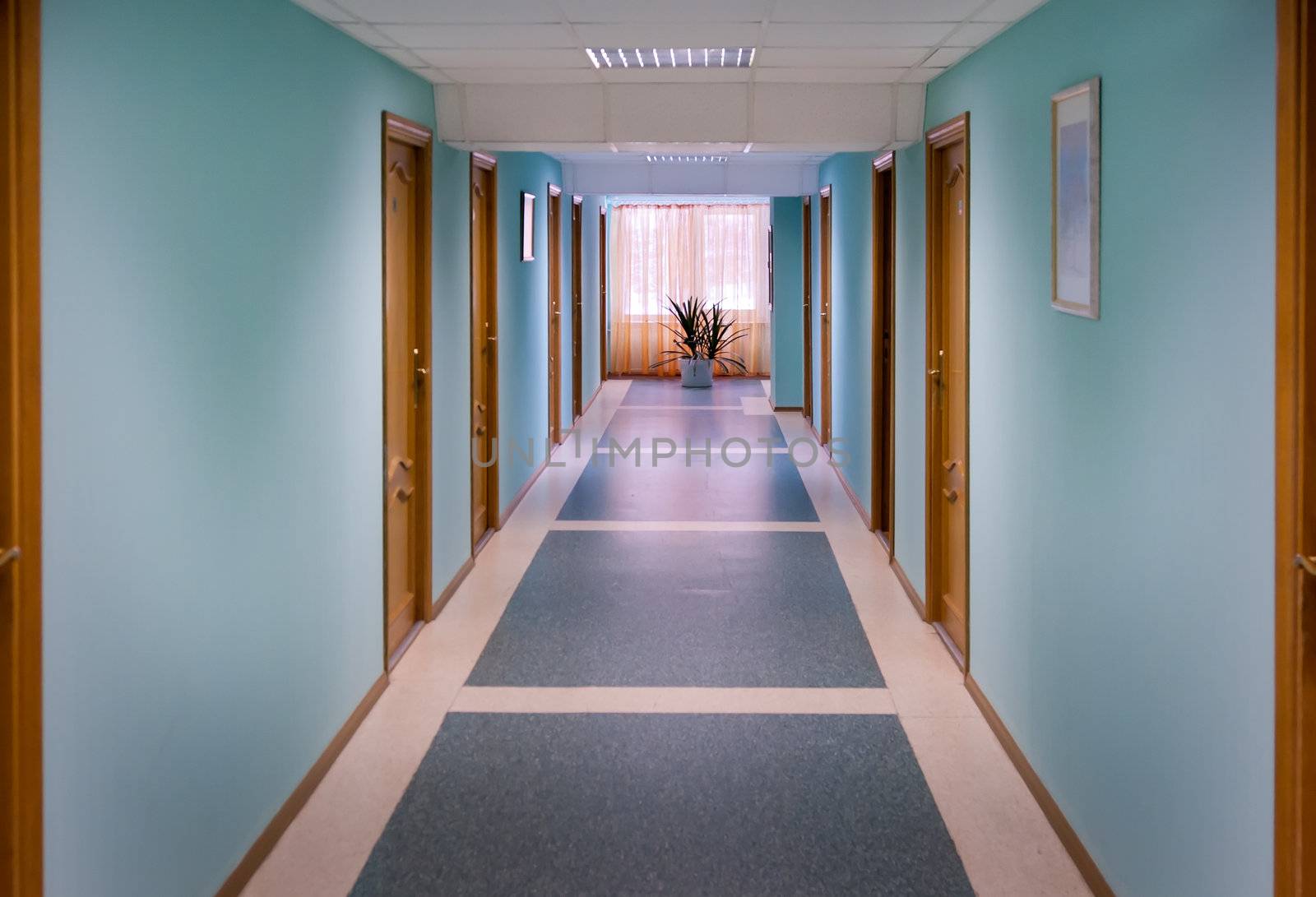 The corridor with blue walls and wooden doors