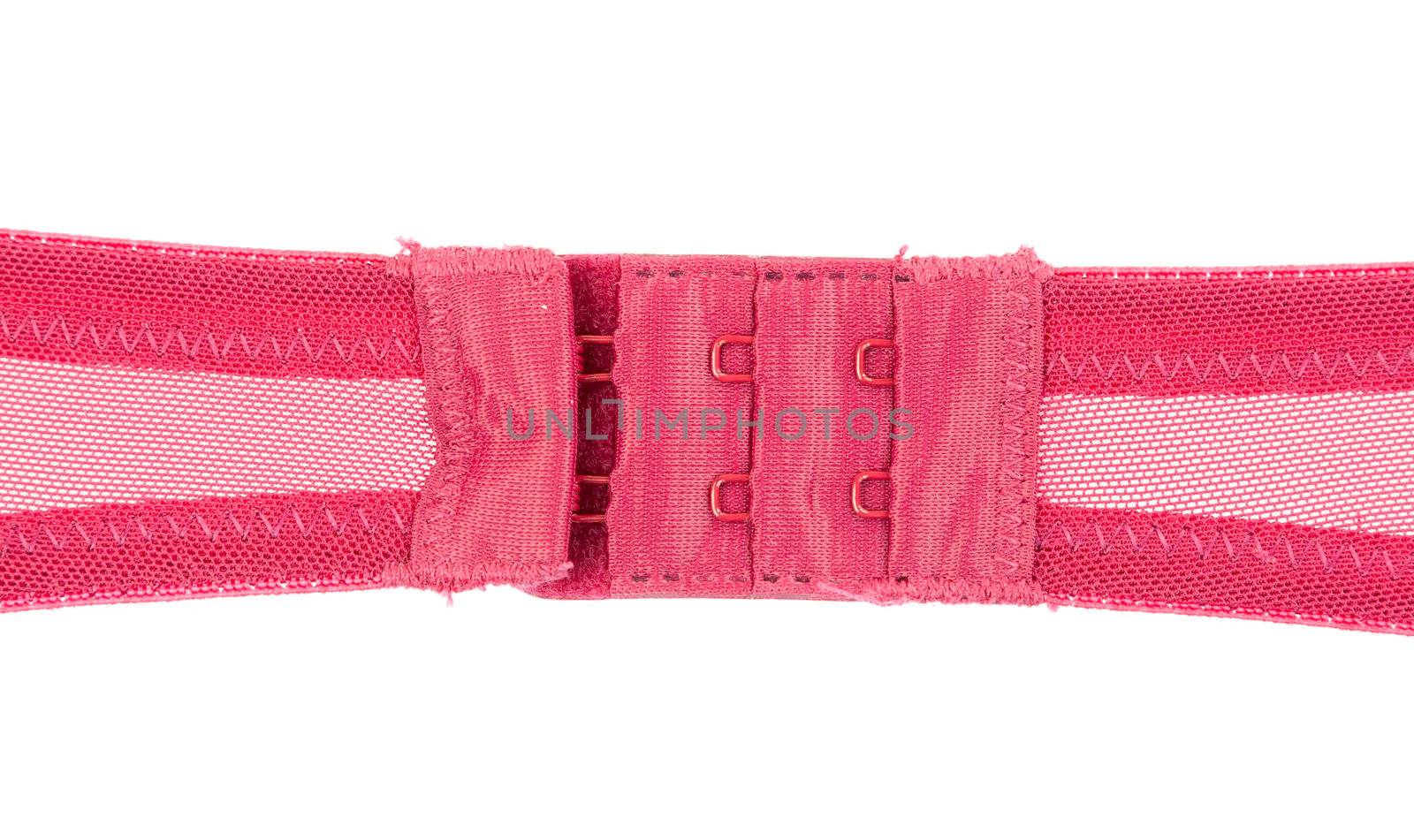 bra buckle isolated on white background