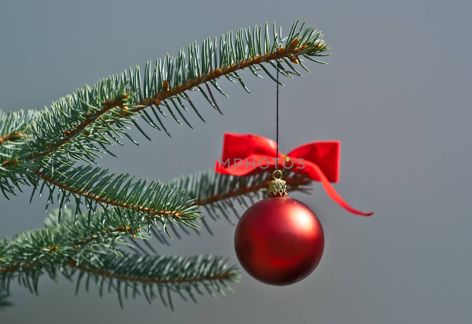 Christmas tree decoration on grey background