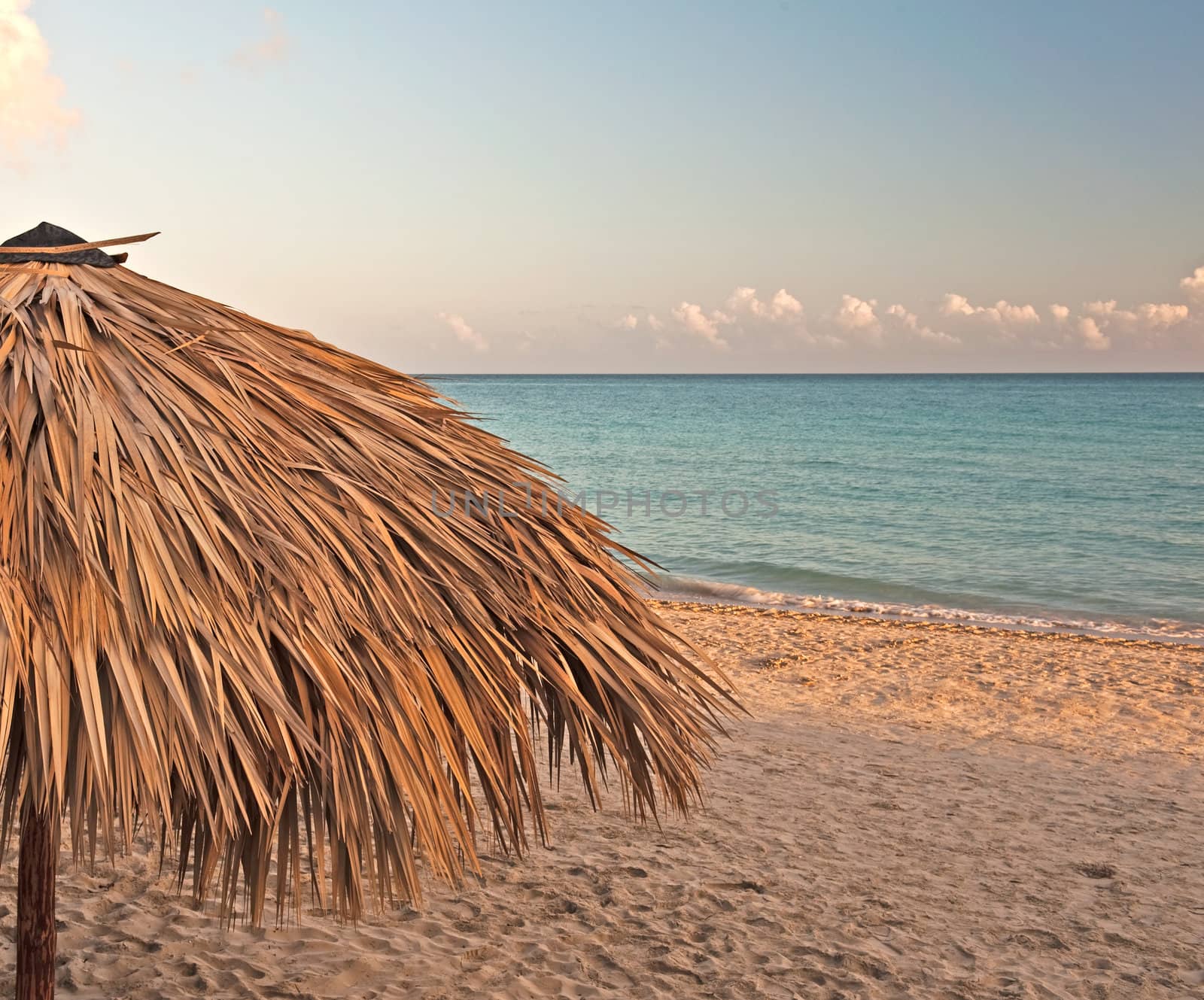 Palm leave parasol cover on a beach with an ocean horizon