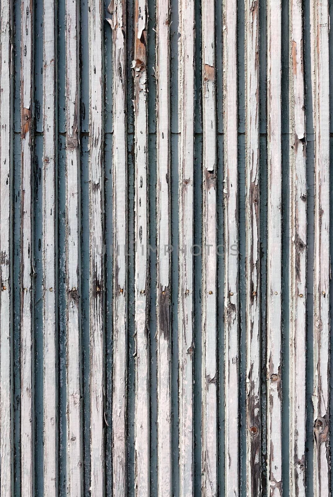 Vintage or grungy white background of natural wood or wooden old texture as a retro pattern layout. It is a concept, conceptual or metaphor wall banner for time, grunge, material, aged, rust and old white paint