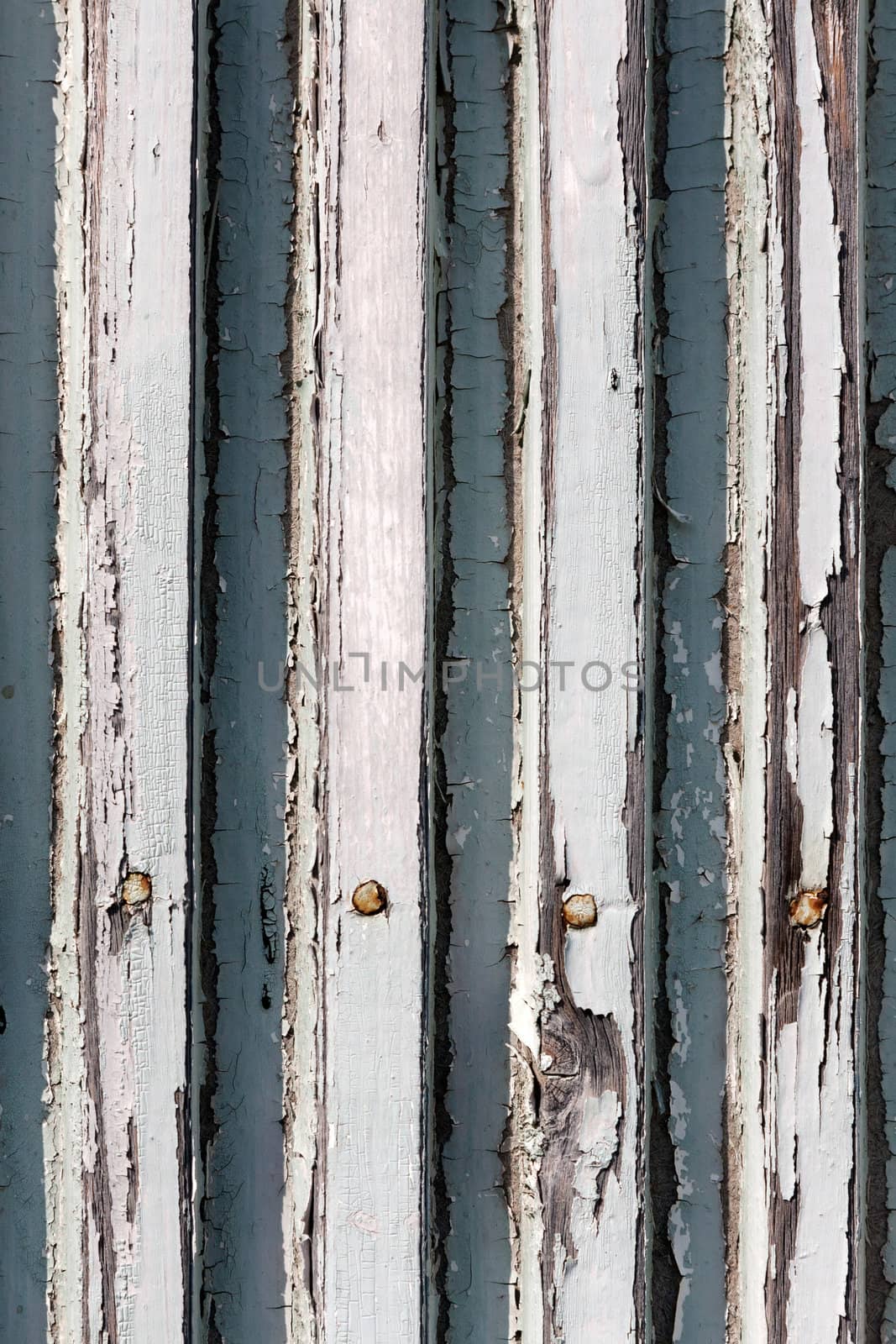 A background of closeup weathered white painted wood
