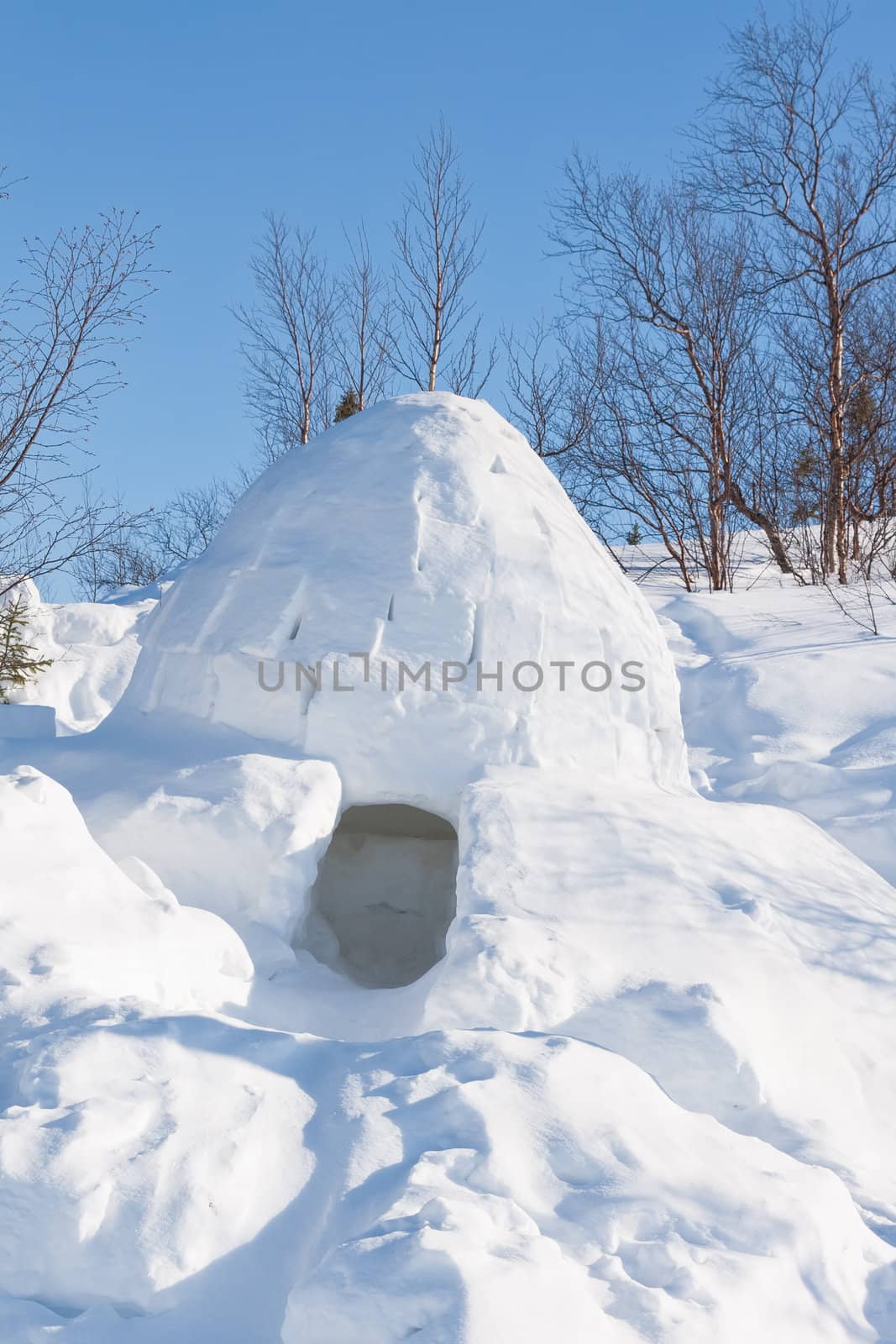 An igloo on a frozen in the wood against the blue sky