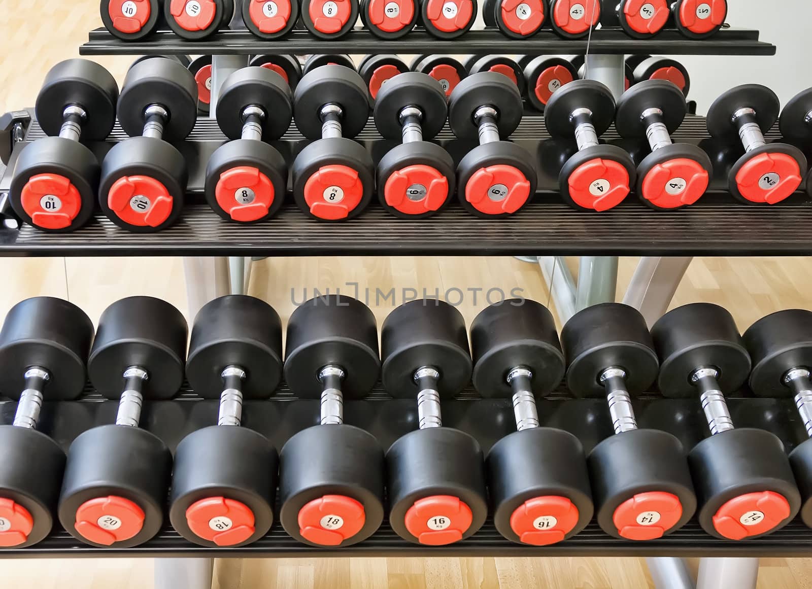 Heavy sports dumbbells in modern sports club