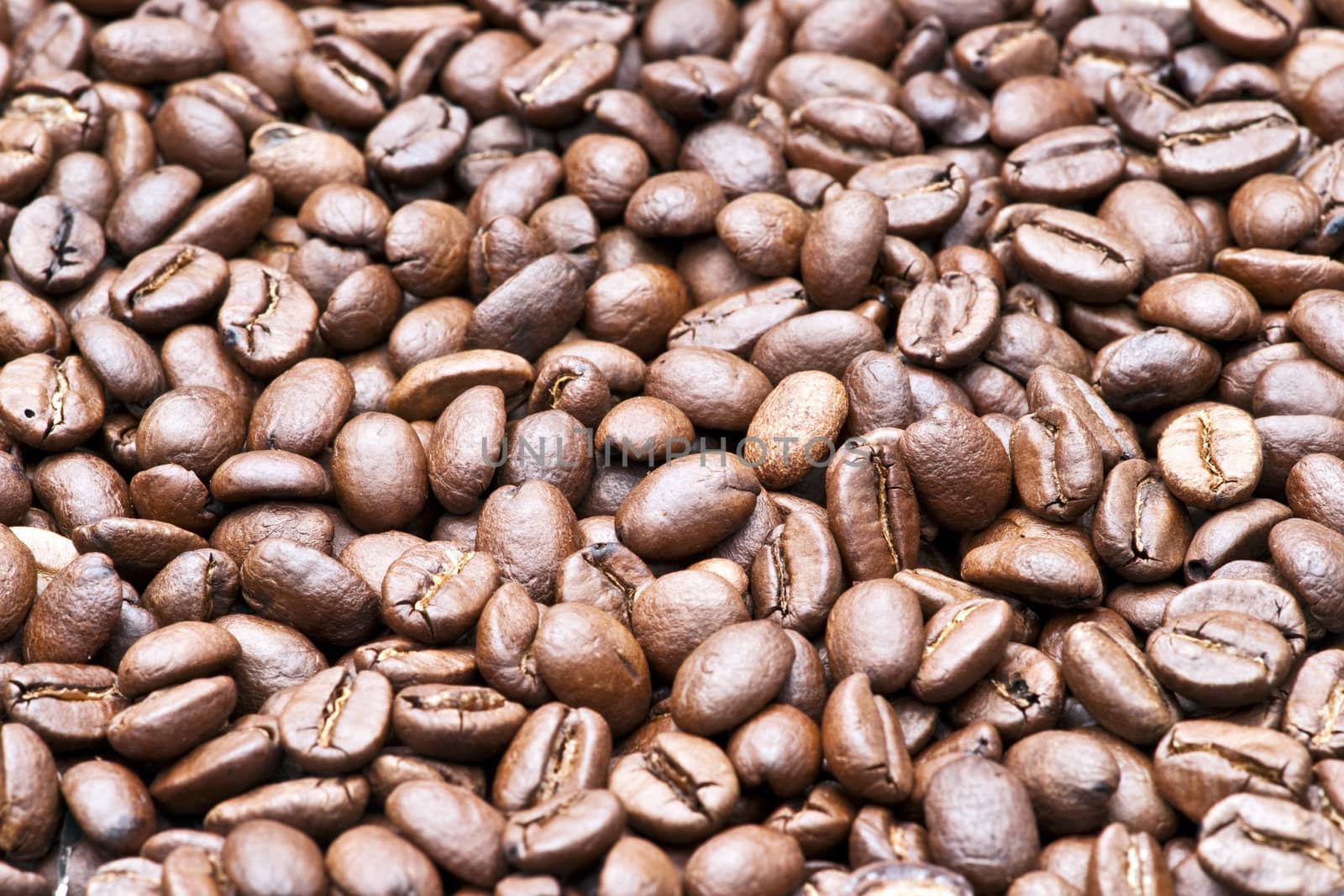 Coffee beans, close up photograph taken in studio