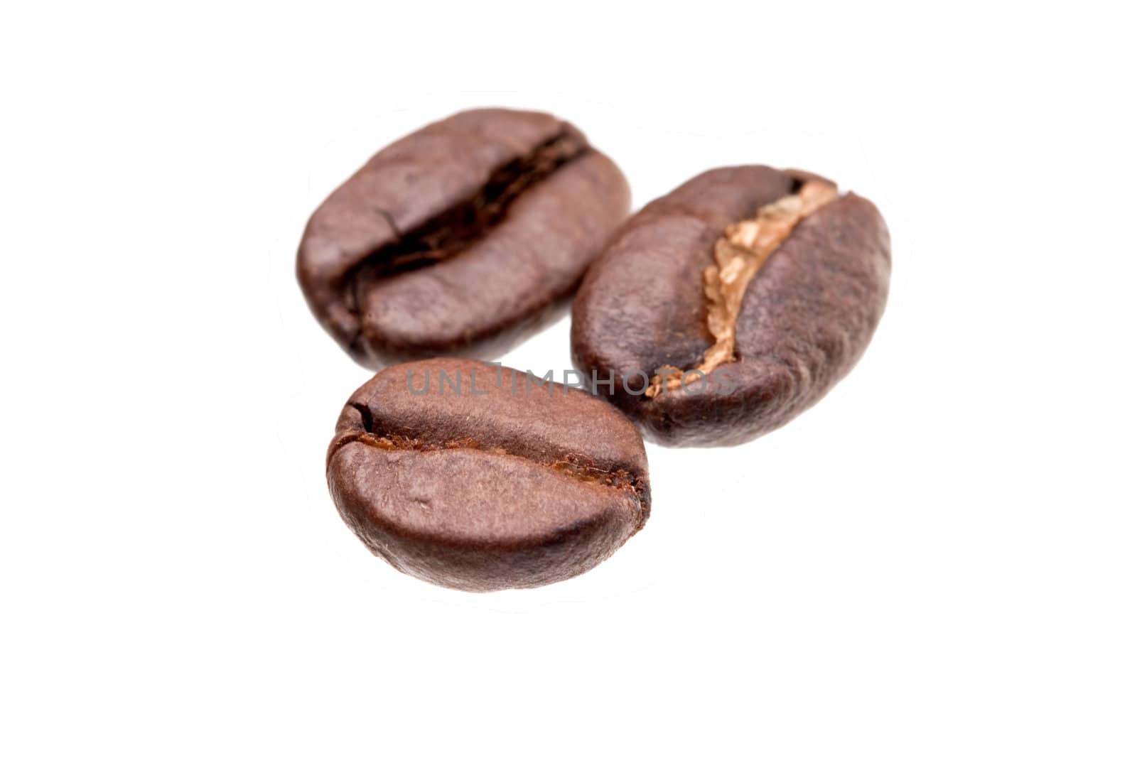 Coffee beans, close up photograph taken in studio