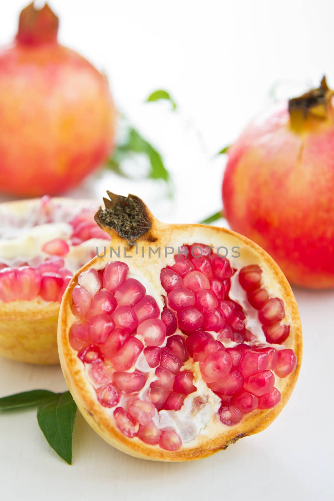 Pomegranate by vanillaechoes