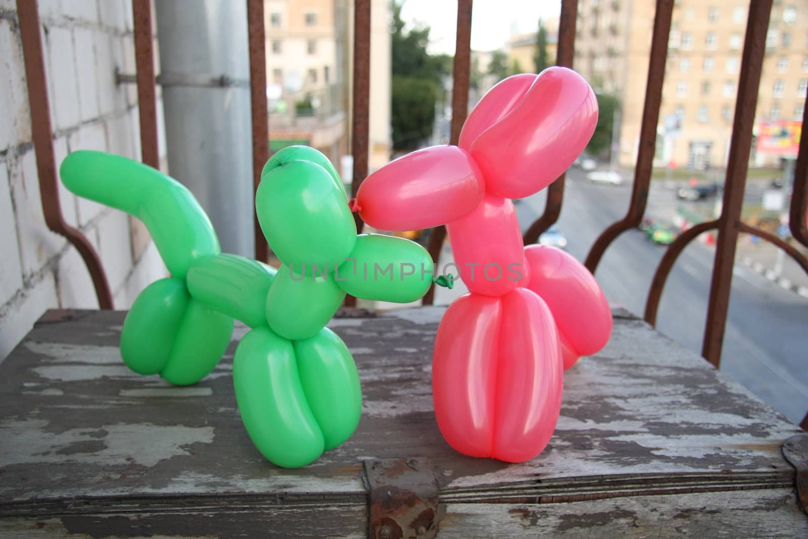 Colorful balloons twisted into two dogs