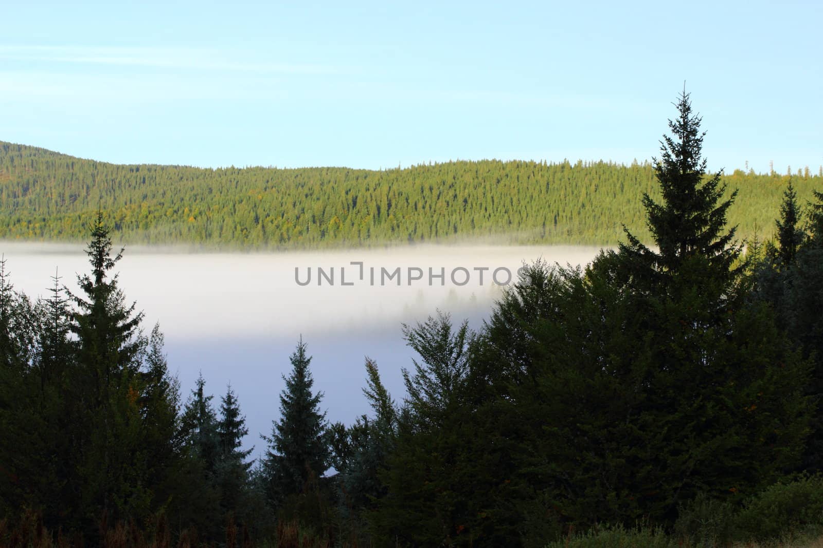 mist over the valley by taviphoto