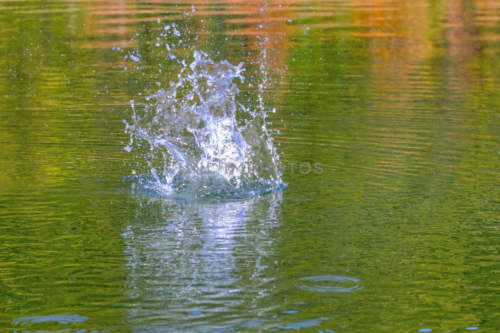 splash of water made by a stone in a mountain lake