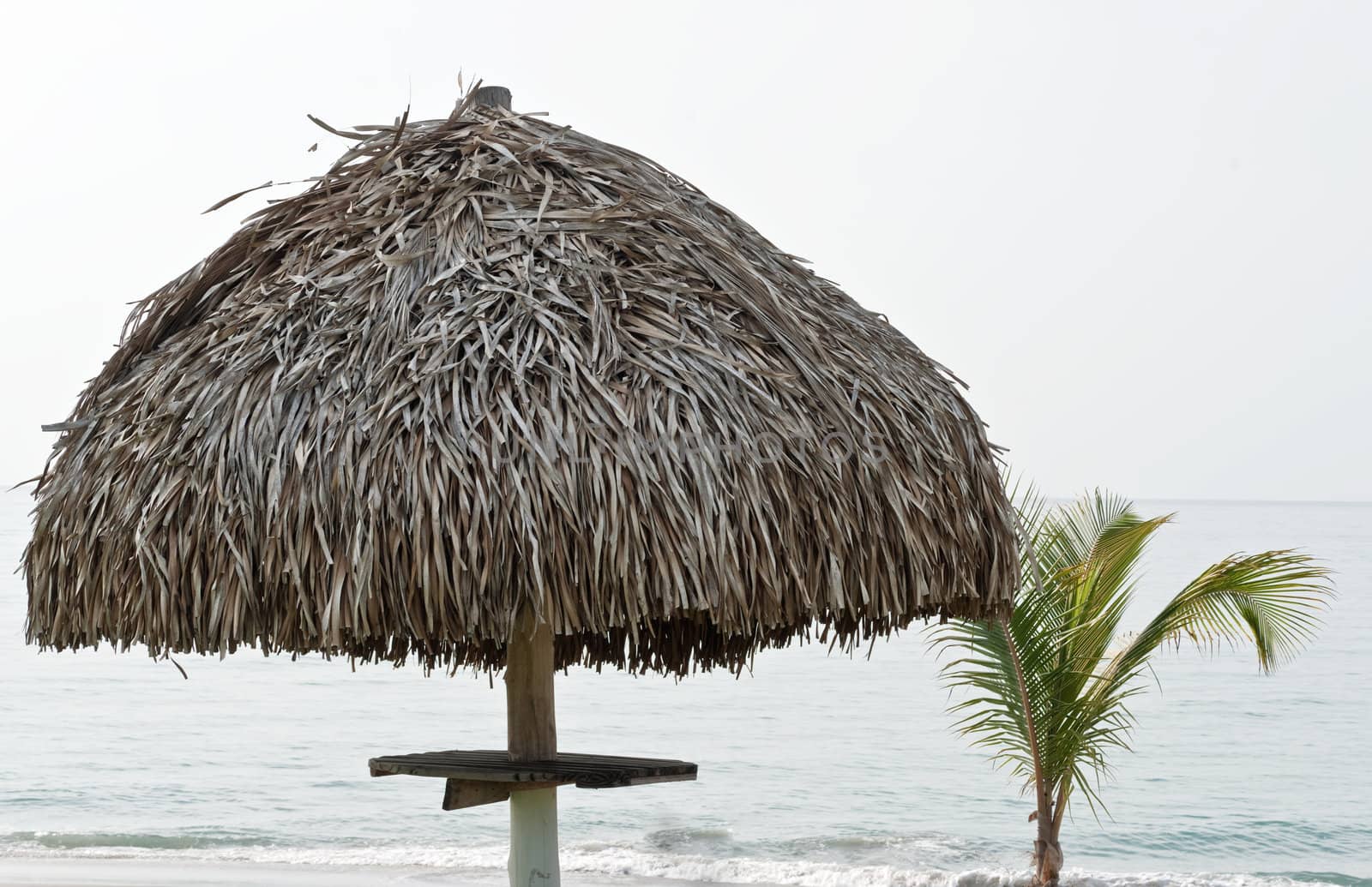 Palm leave parasol cover on a beach with an ocean horizon