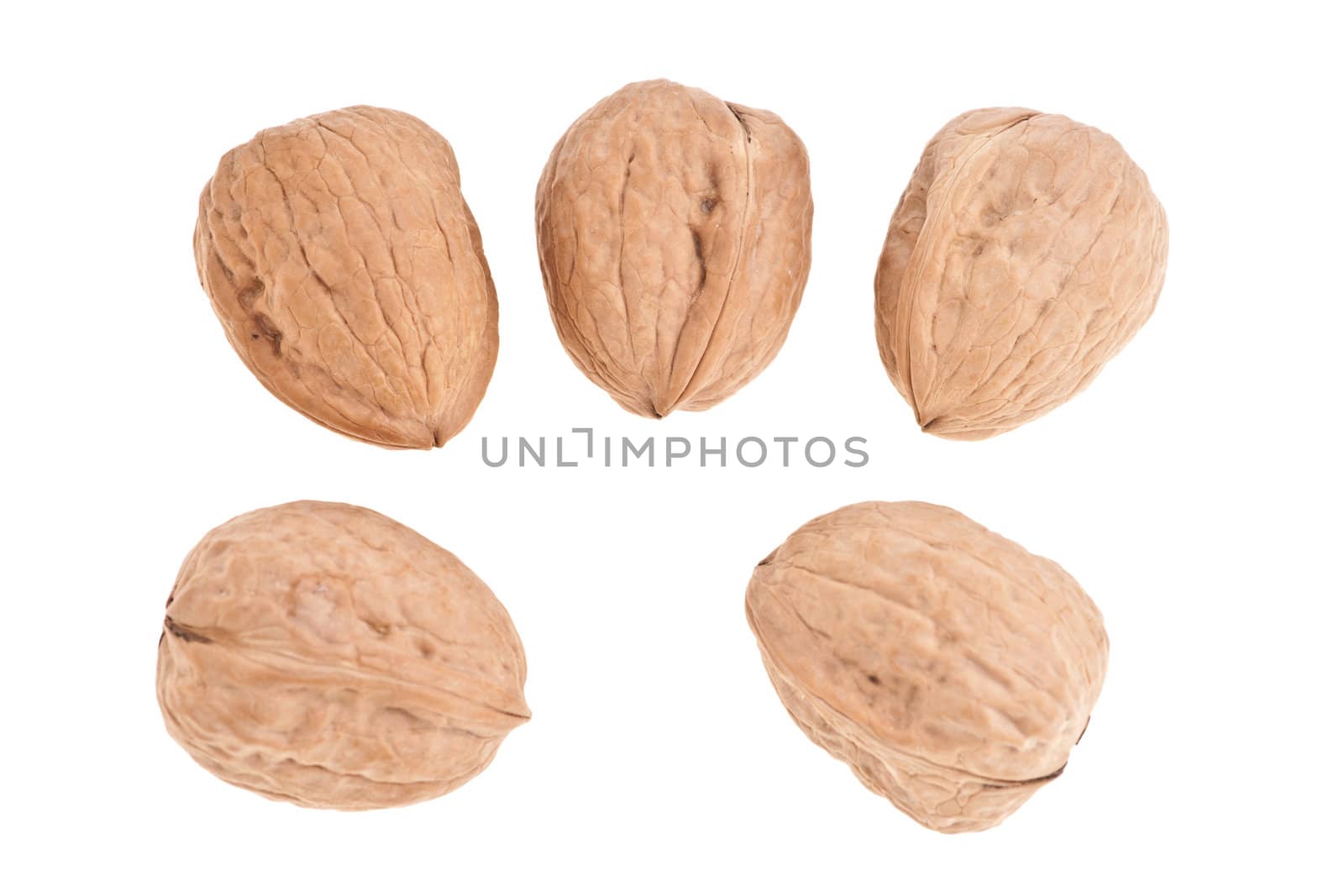 five Walnuts image on white background
