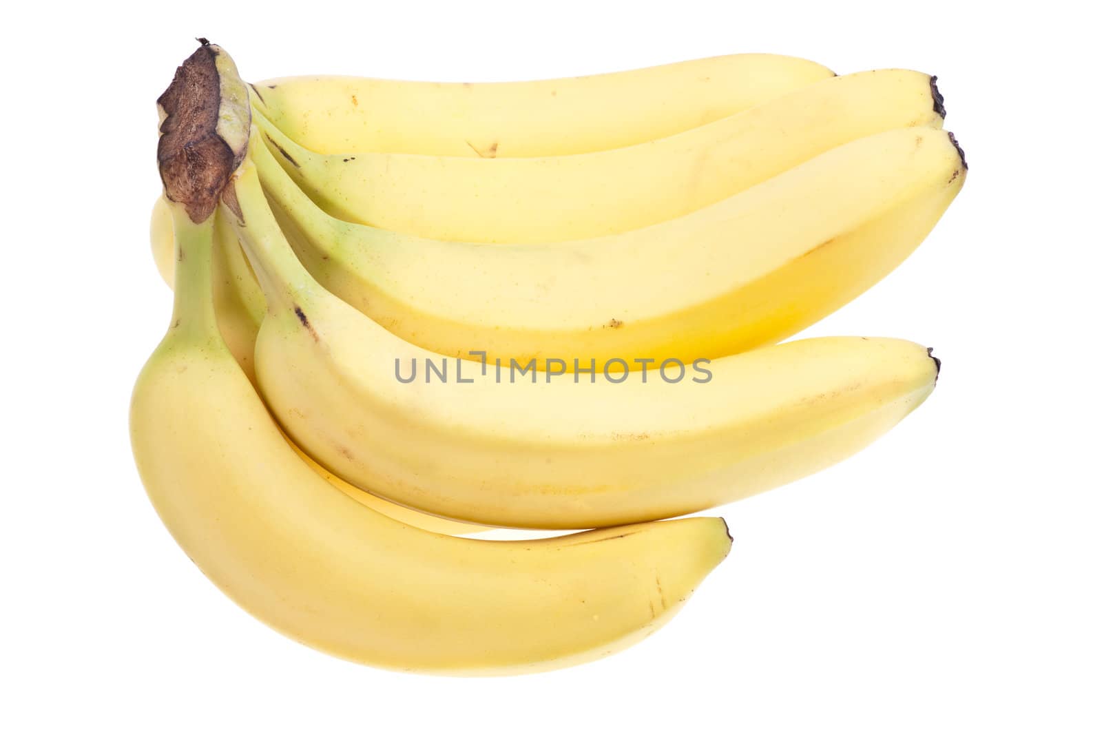 Bunch of fresh bananas the image on white background