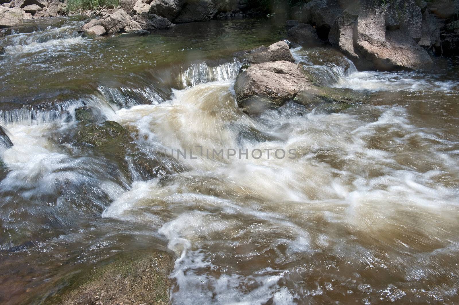 running stream of water in Webster Falls Park in Ontario Canada