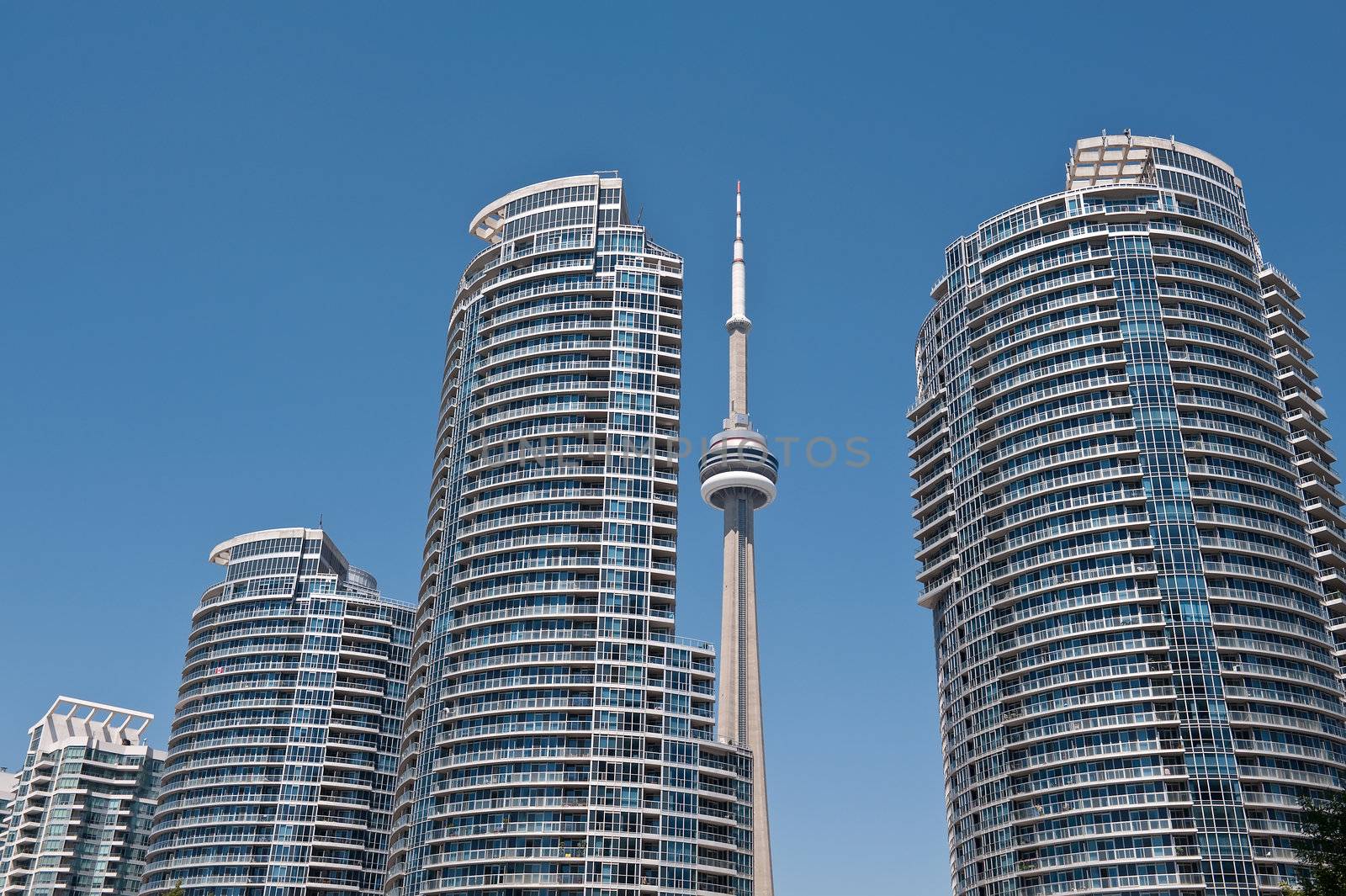 View on CN tower and modern residential buildings in downtown Toronto