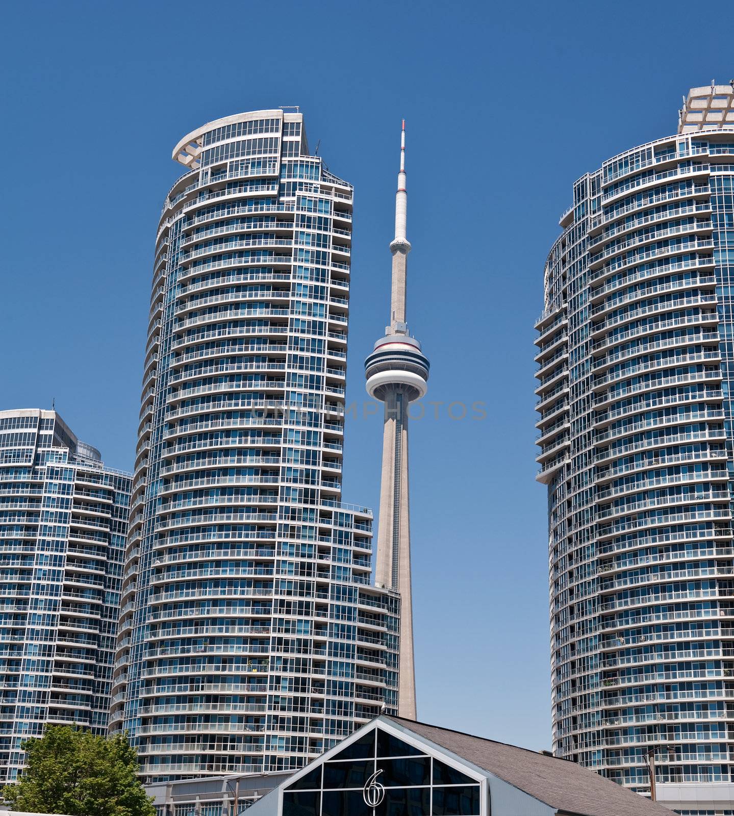 View on CN tower and modern residential buildings in downtown Toronto