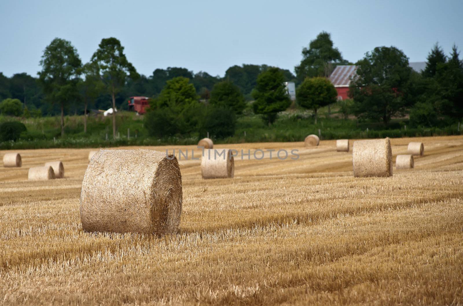 Straw bales by Marcus