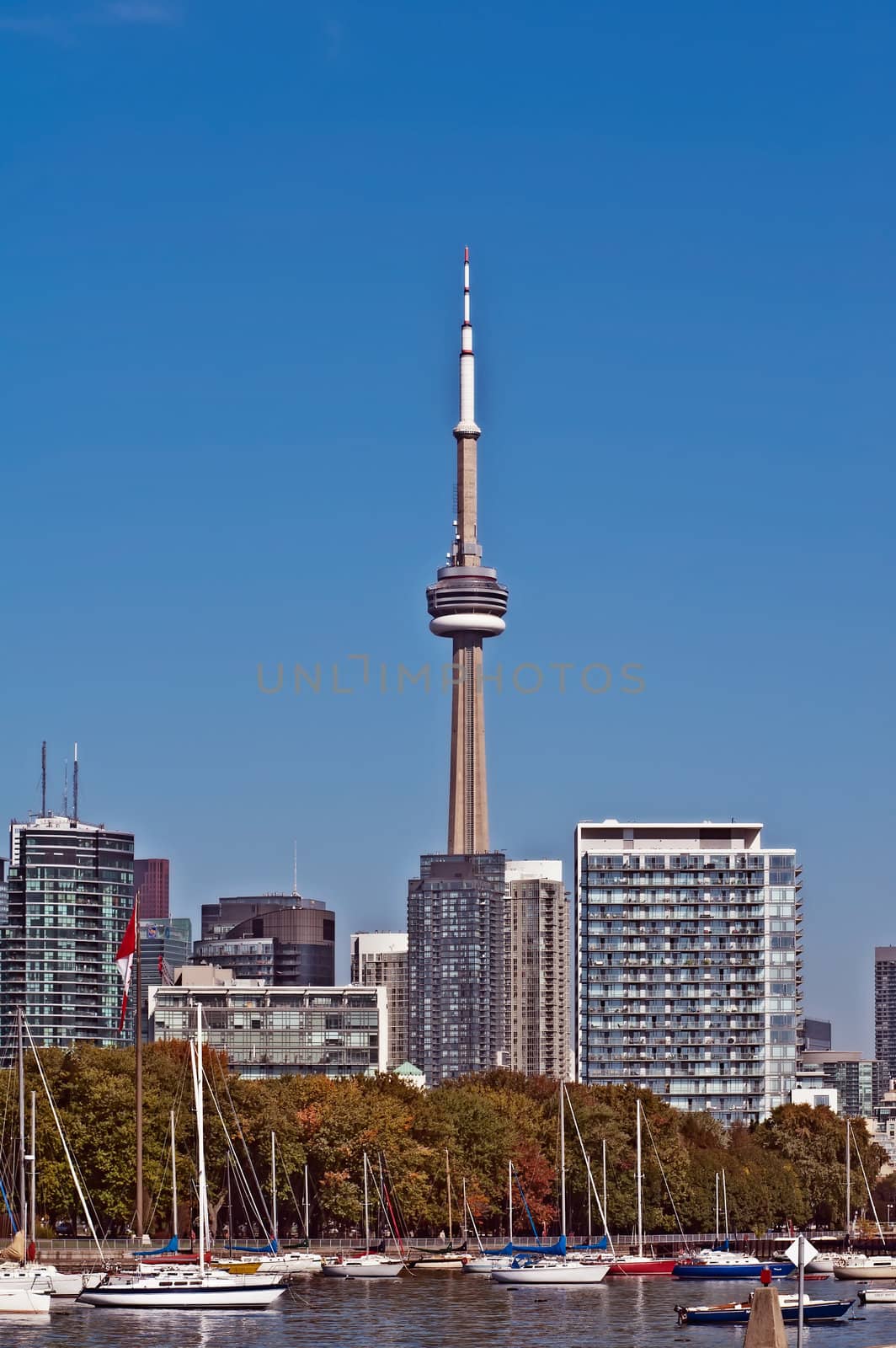Toronto high rise cityscape panorama CN Tower luxury condominium by Marcus