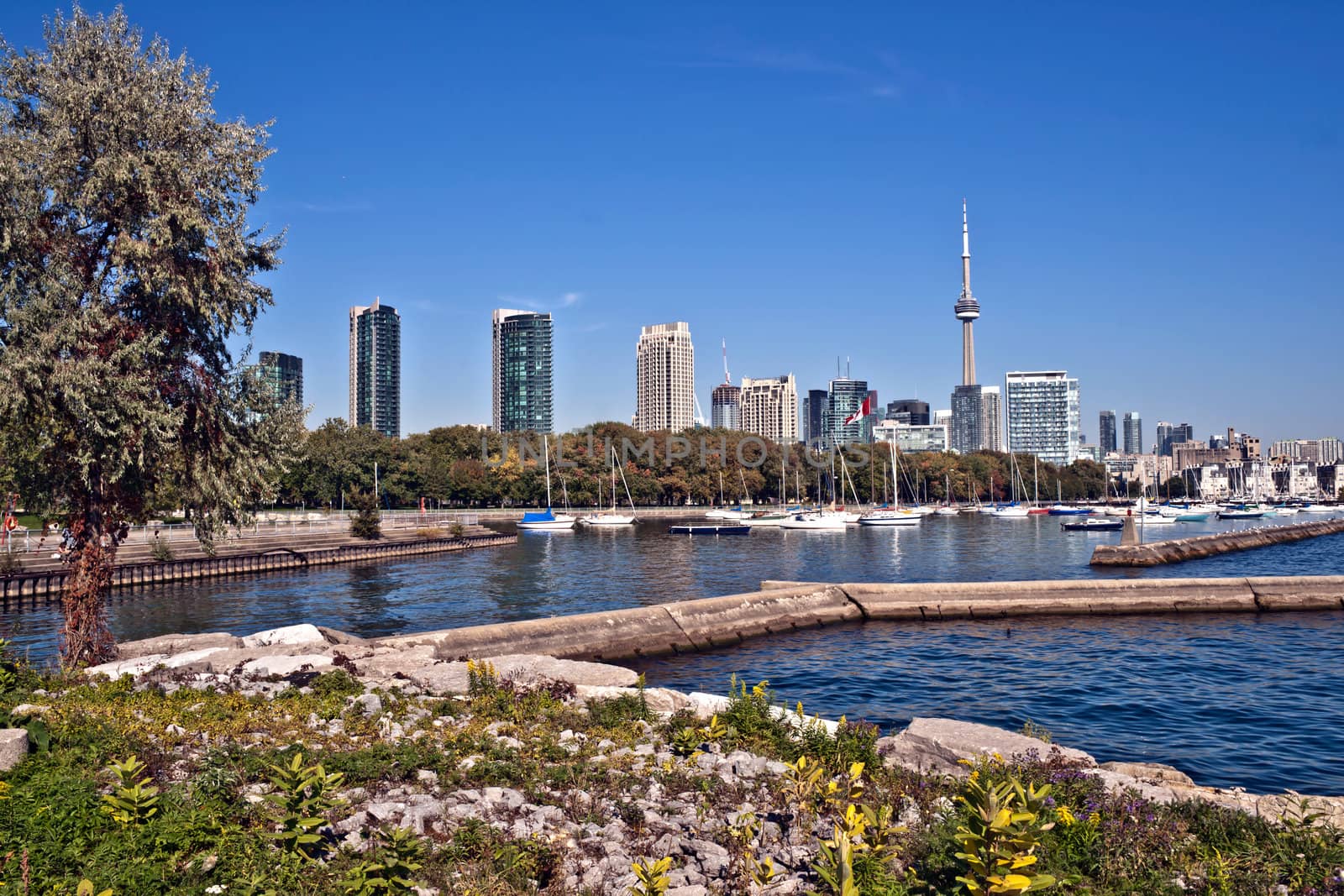 Toronto high rise cityscape panorama CN Tower luxury condominium by Marcus