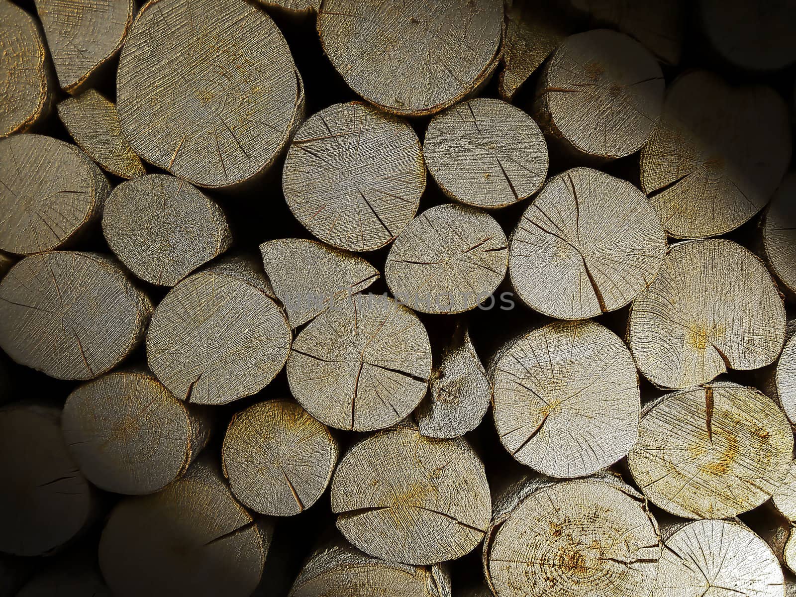 A pile of cut shadow wood stump log texture