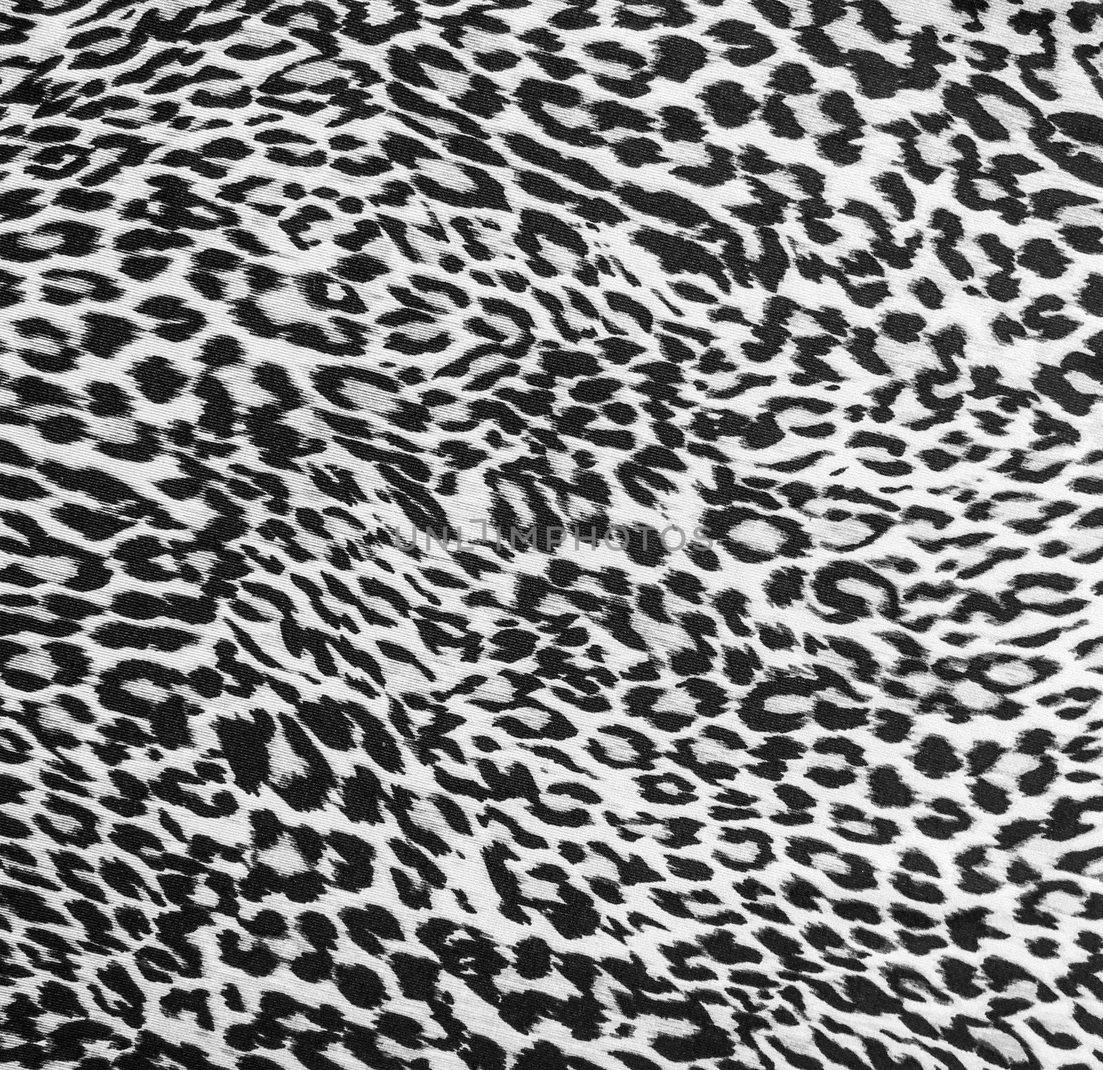 Leopard background