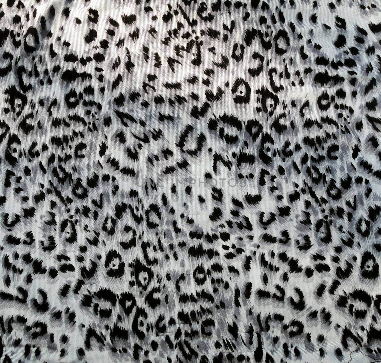 Leopard skin pattern texture by MalyDesigner