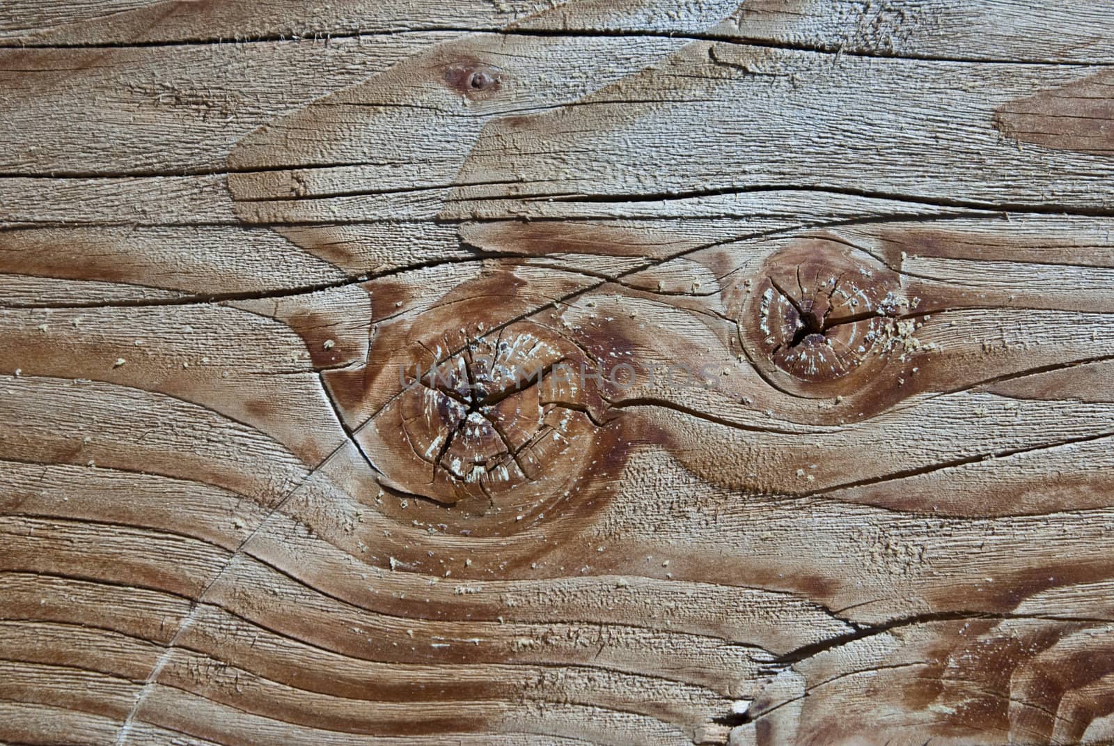 Knot Holes in wood