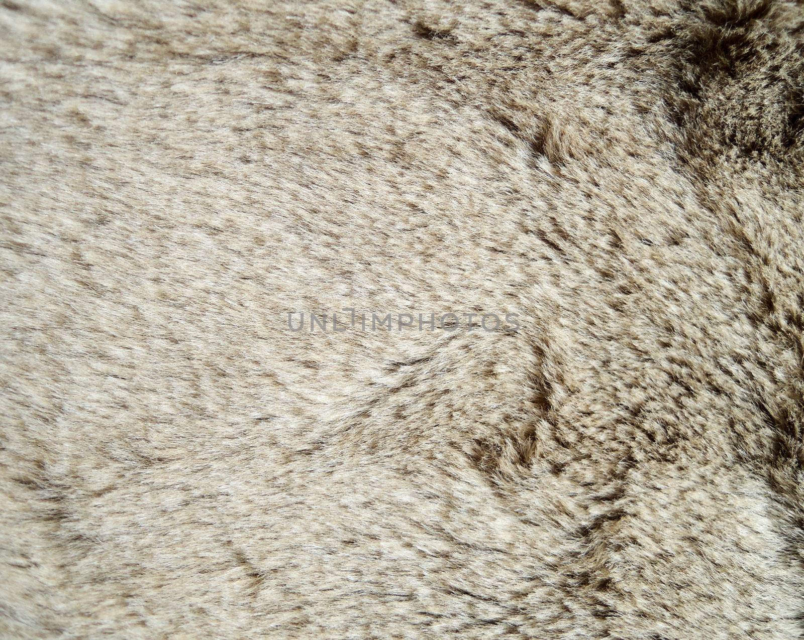 Close up of an animal colored fur texture