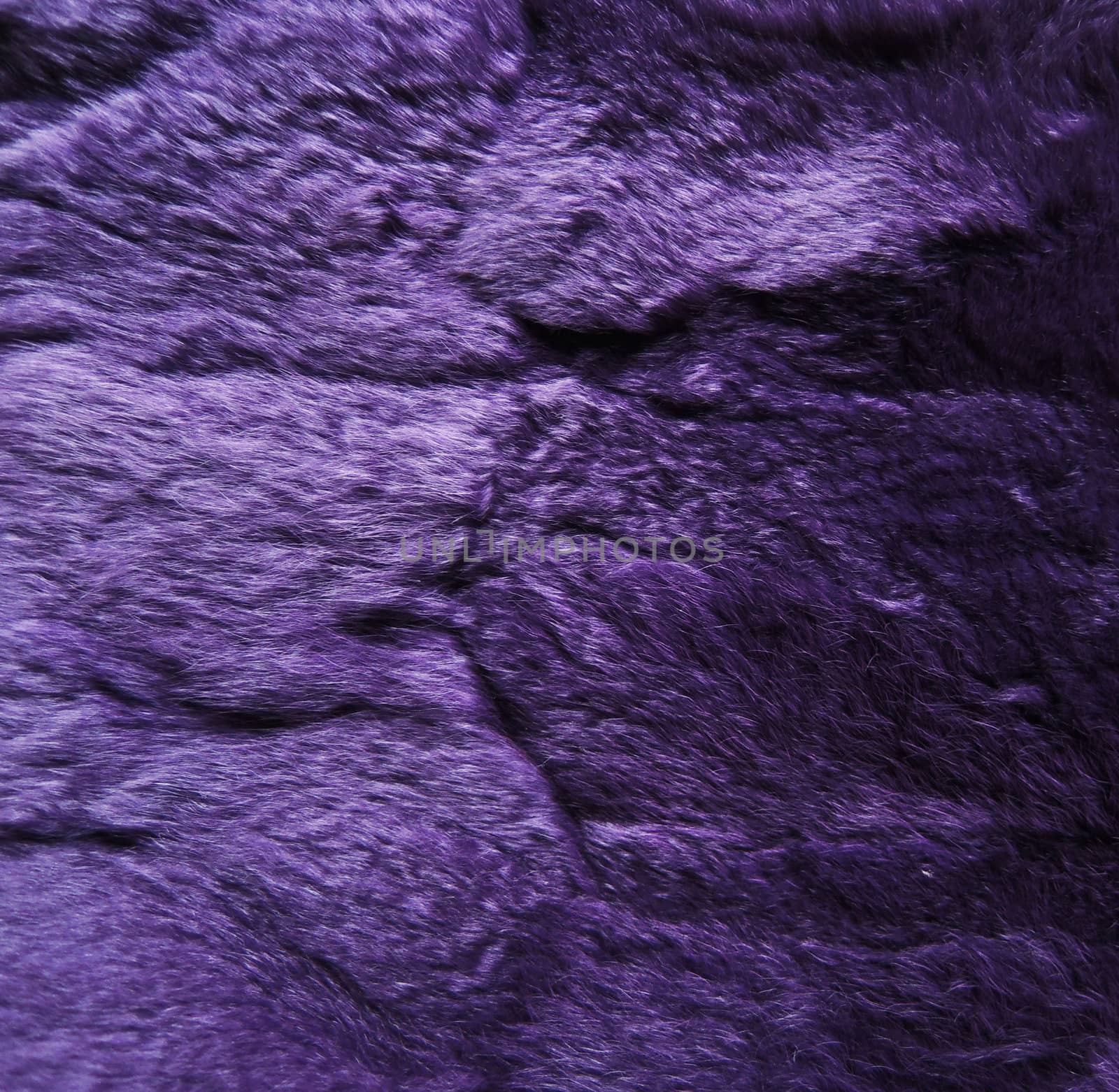 Purple fur texture by MalyDesigner