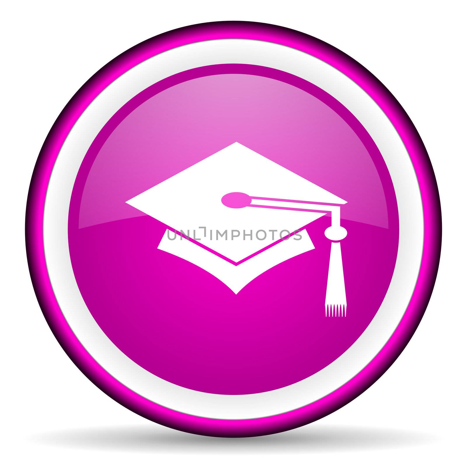 graduation violet glossy icon on white background