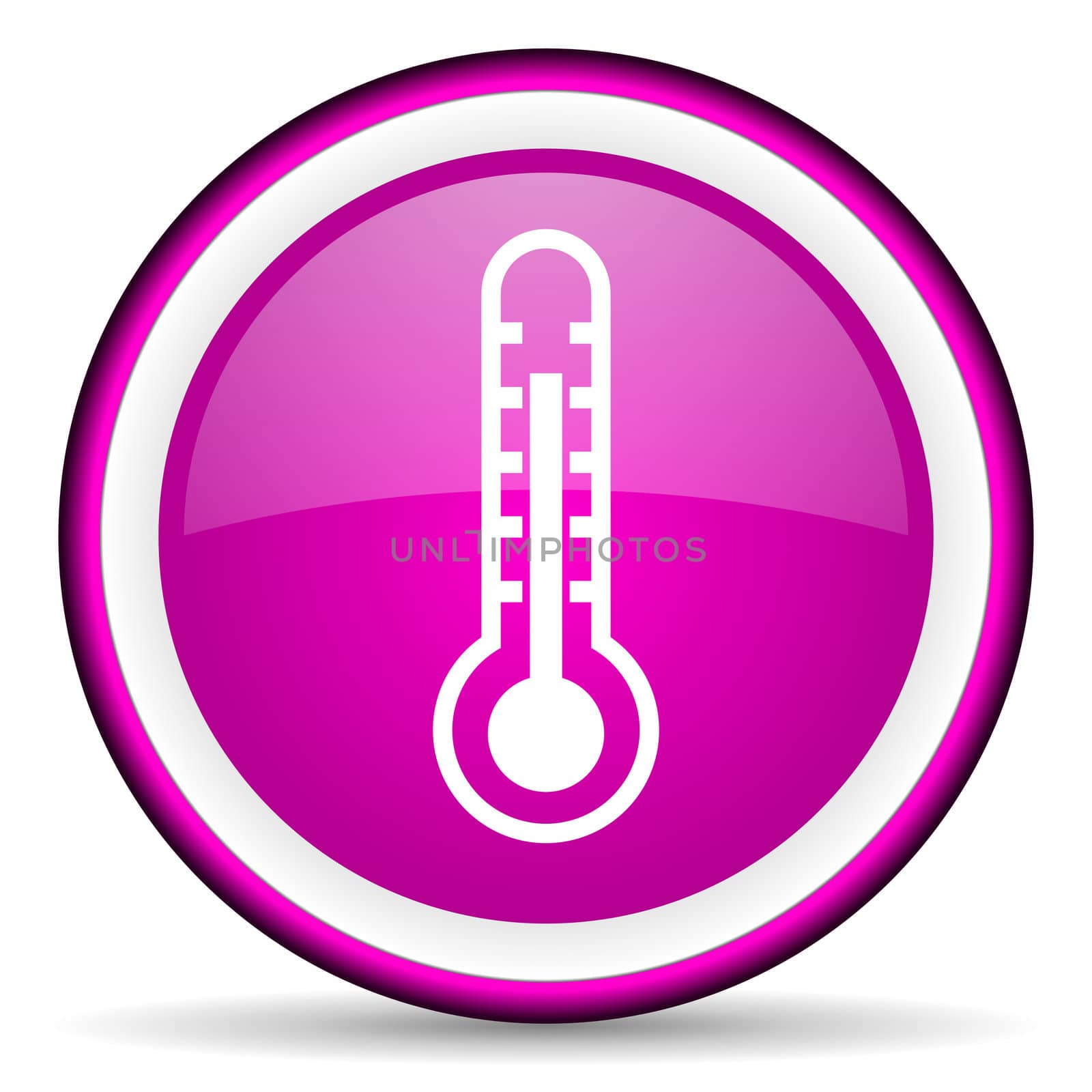 thermometer violet glossy icon on white background