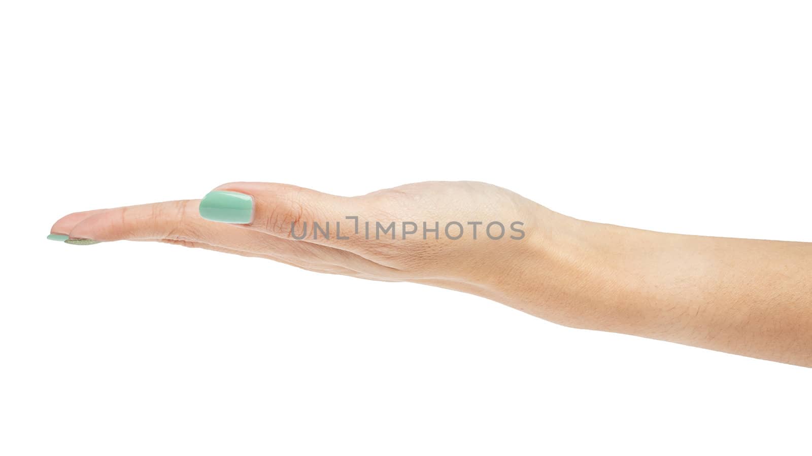 female woman hand holding isolated on white