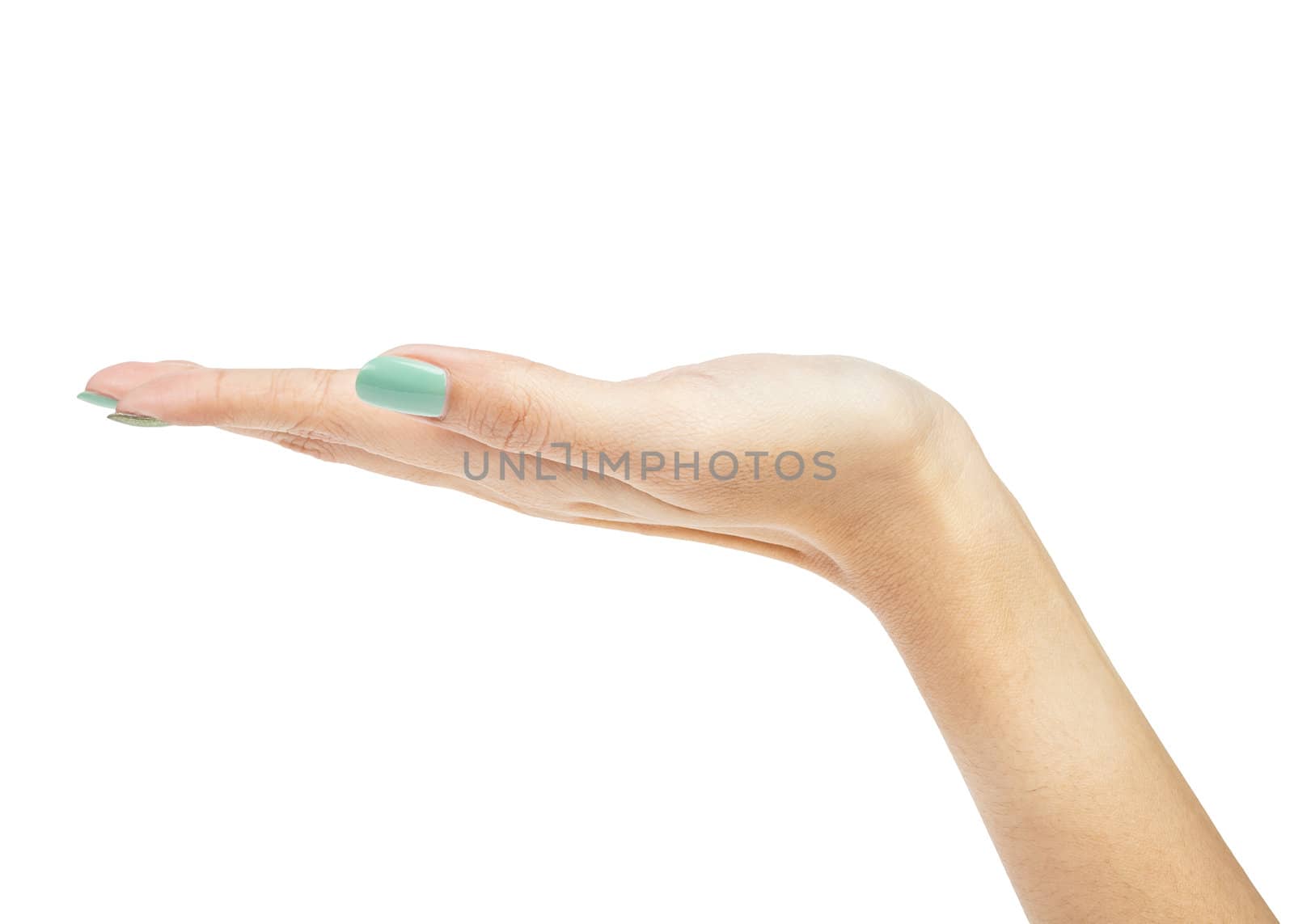 female woman hand holding isolated on white