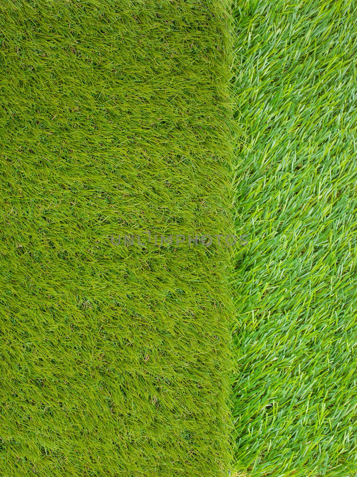 Artificial turf japanese green by FrameAngel