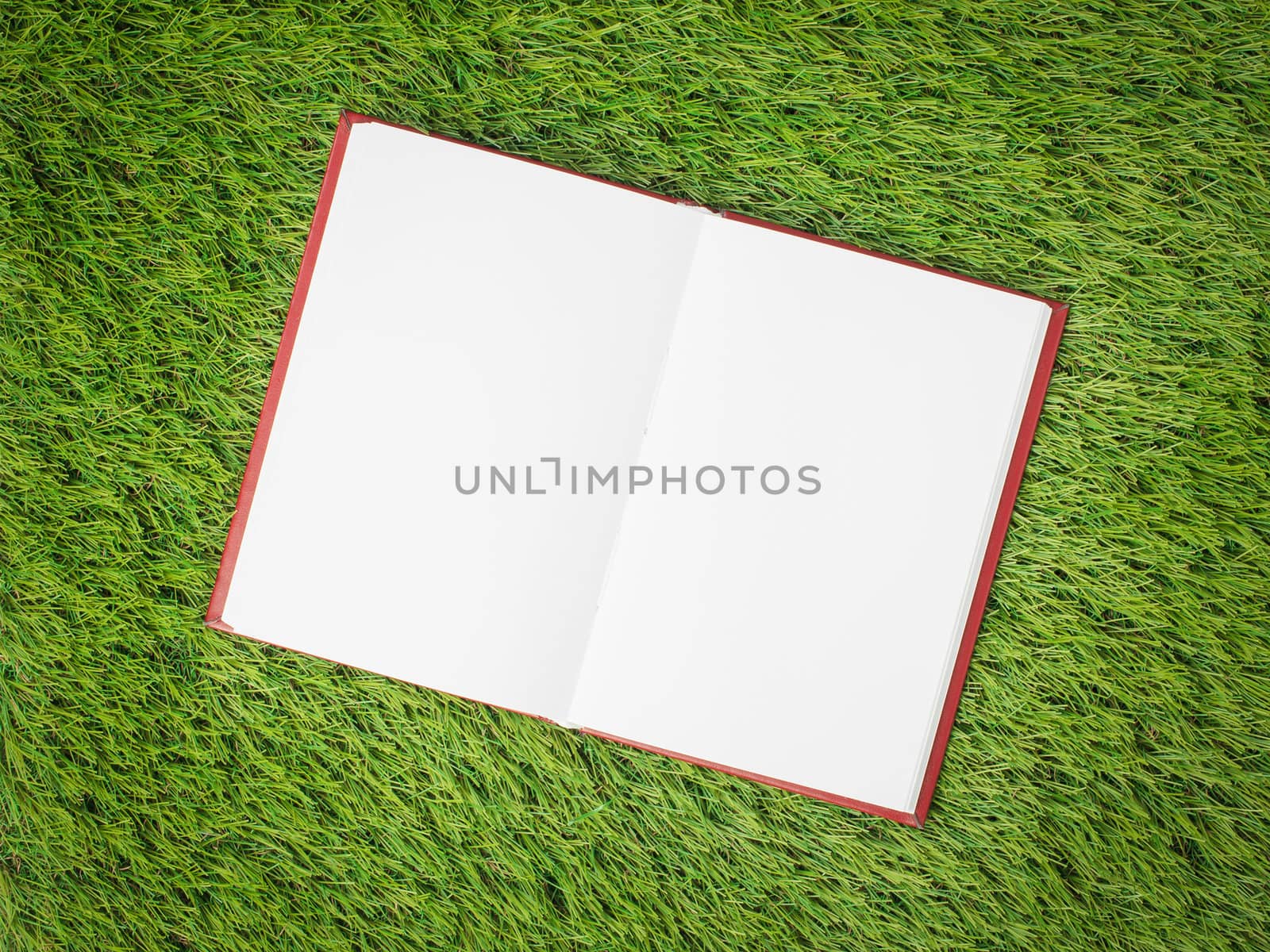 open blank book on artificial green grass