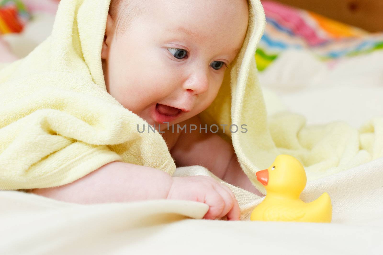 Four month baby girl playing with rubber duck