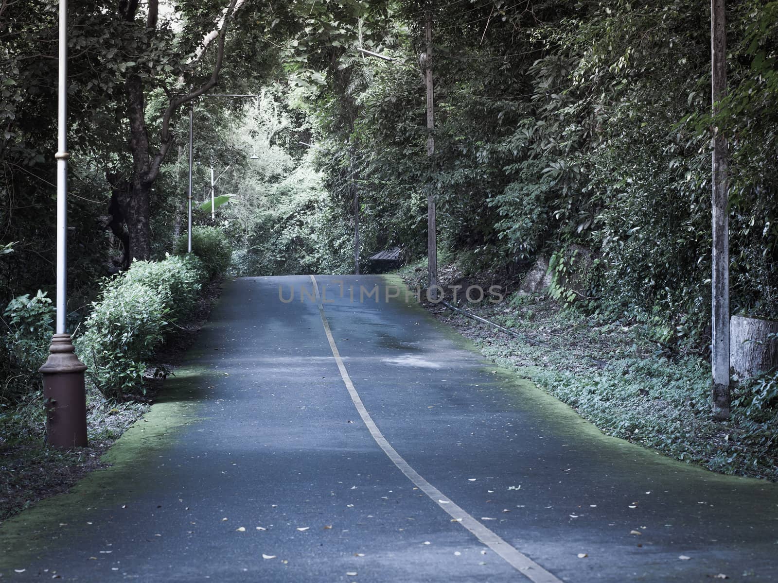 asphalt road view
