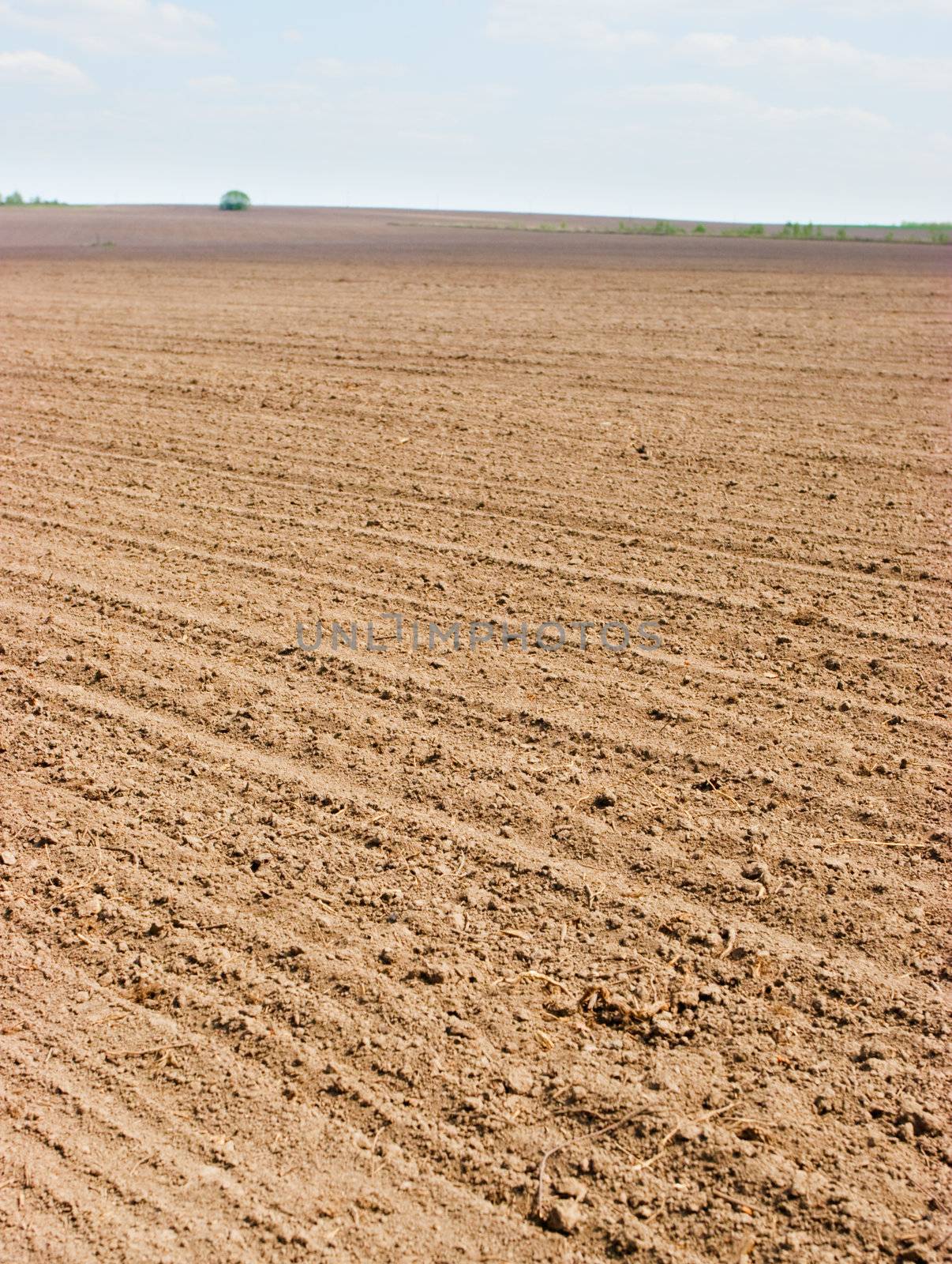 Plowed field by naumoid