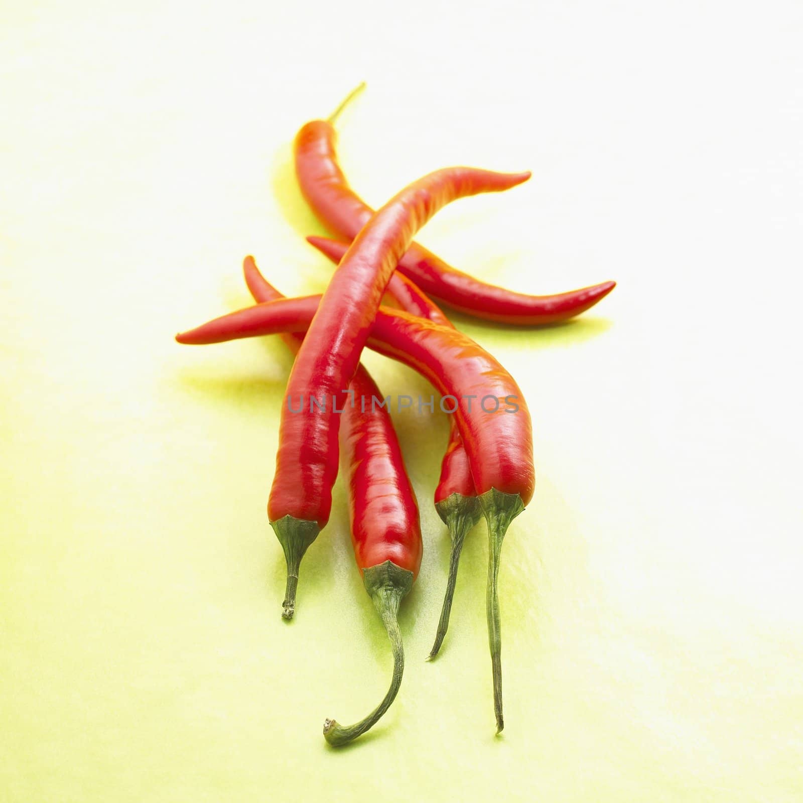 Red Chiles by tornellistefano