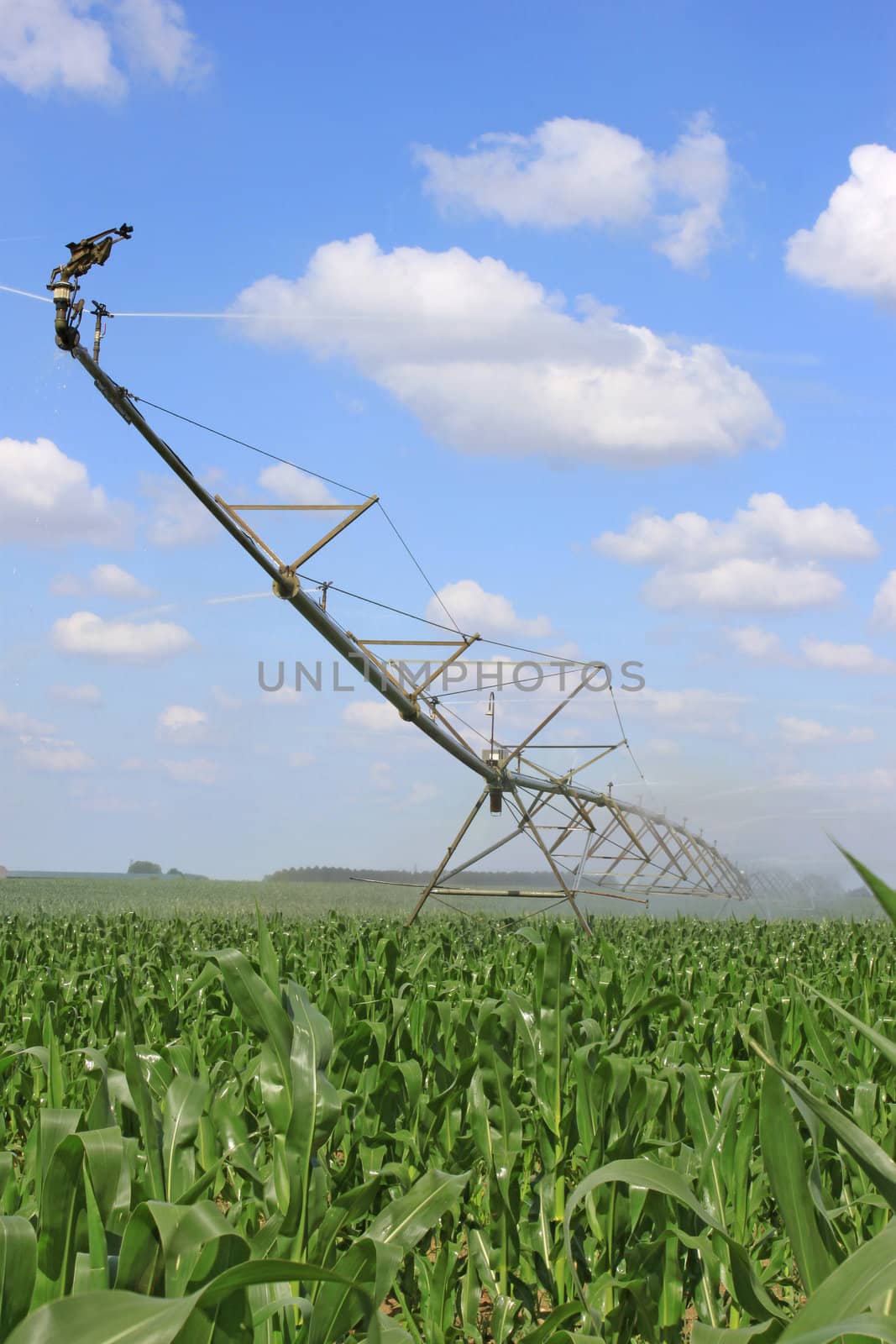 an irrigation system for agriculture in a grain field