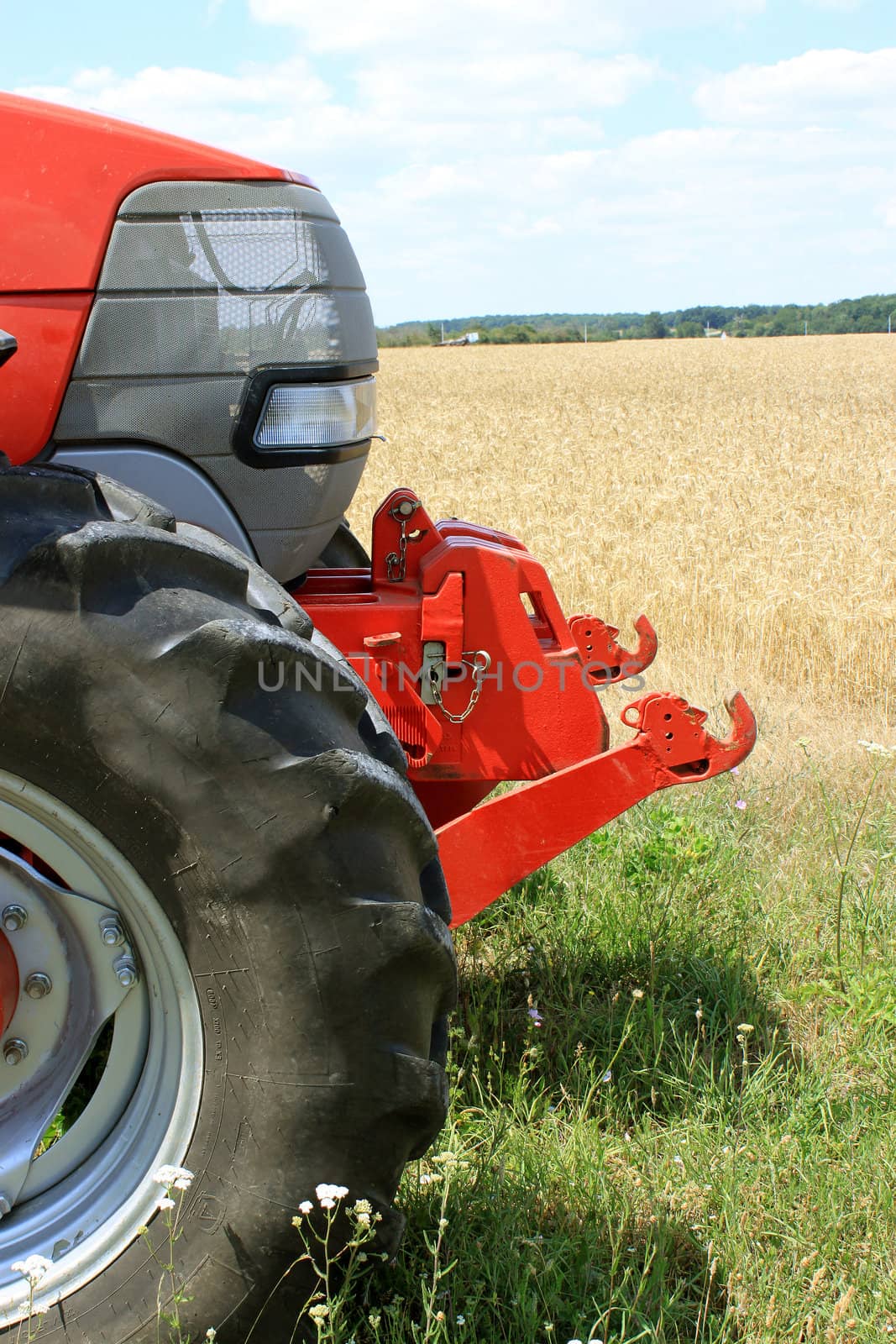 The front of a tractor for farming on a background field of wheat