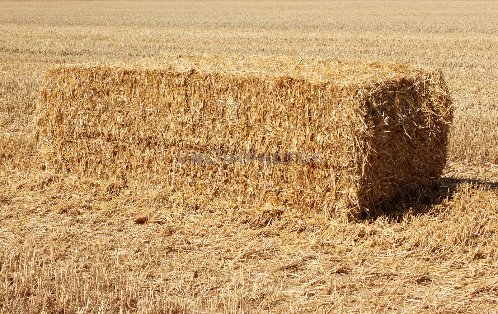 haystack by 26amandine