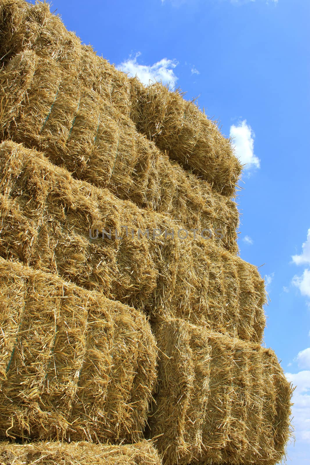 haystack by 26amandine